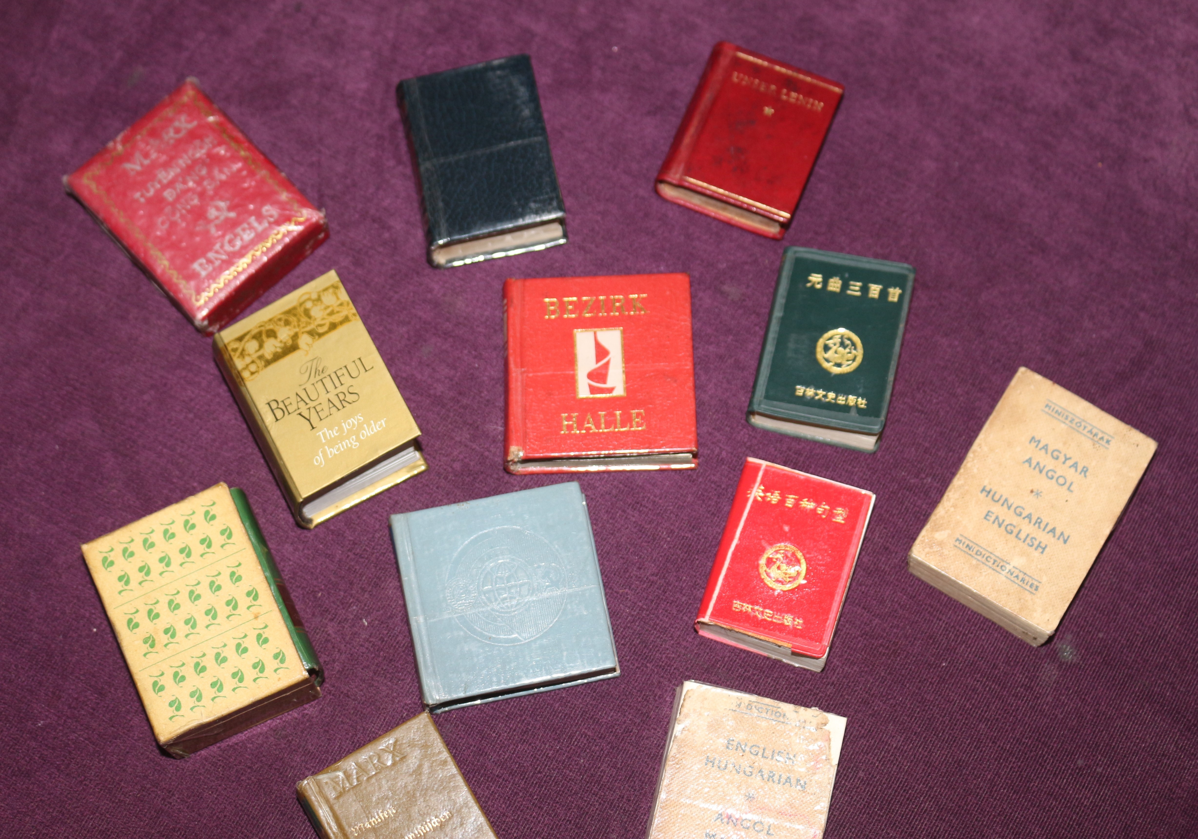 hoa si Nguyen Thanh Dam anh 3