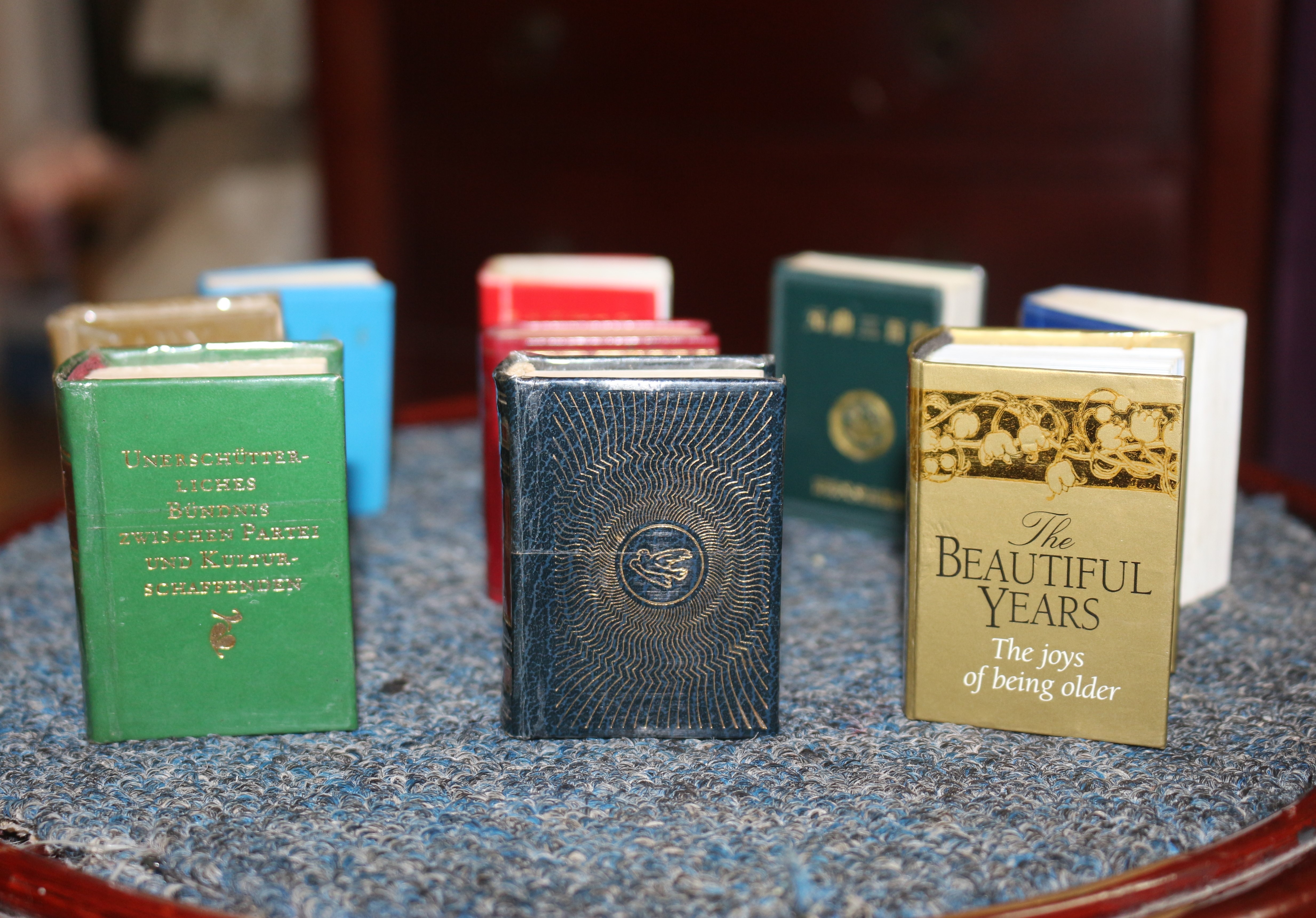 hoa si Nguyen Thanh Dam anh 2