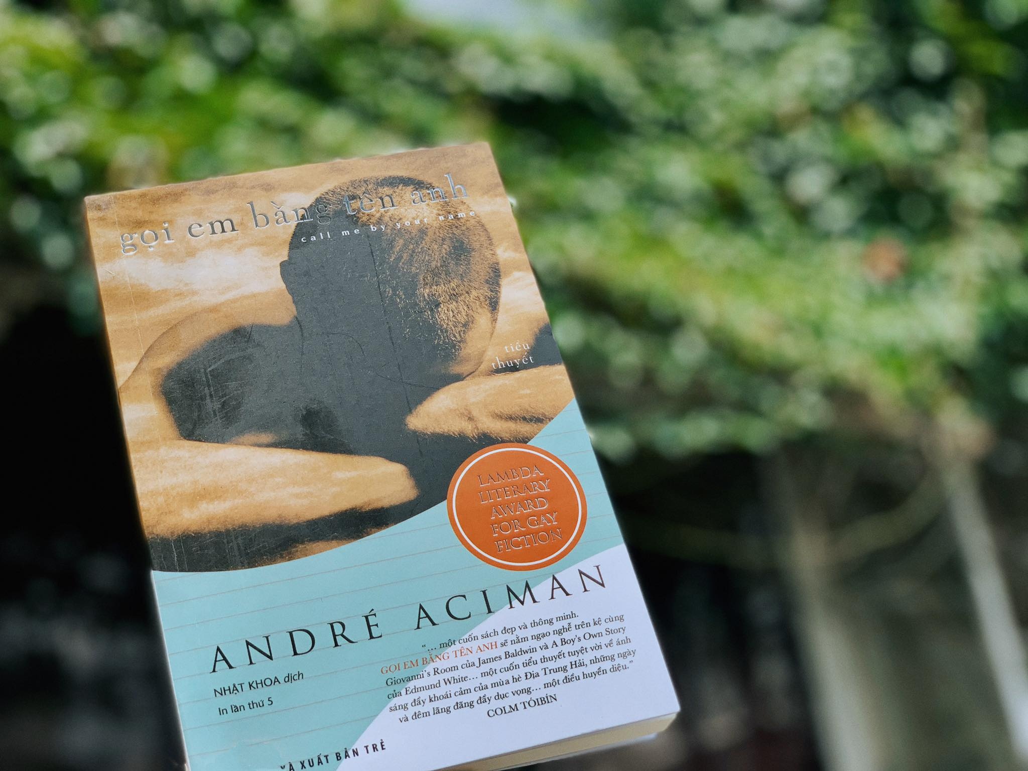 Mua he chau Au qua nhung trang sach hinh anh