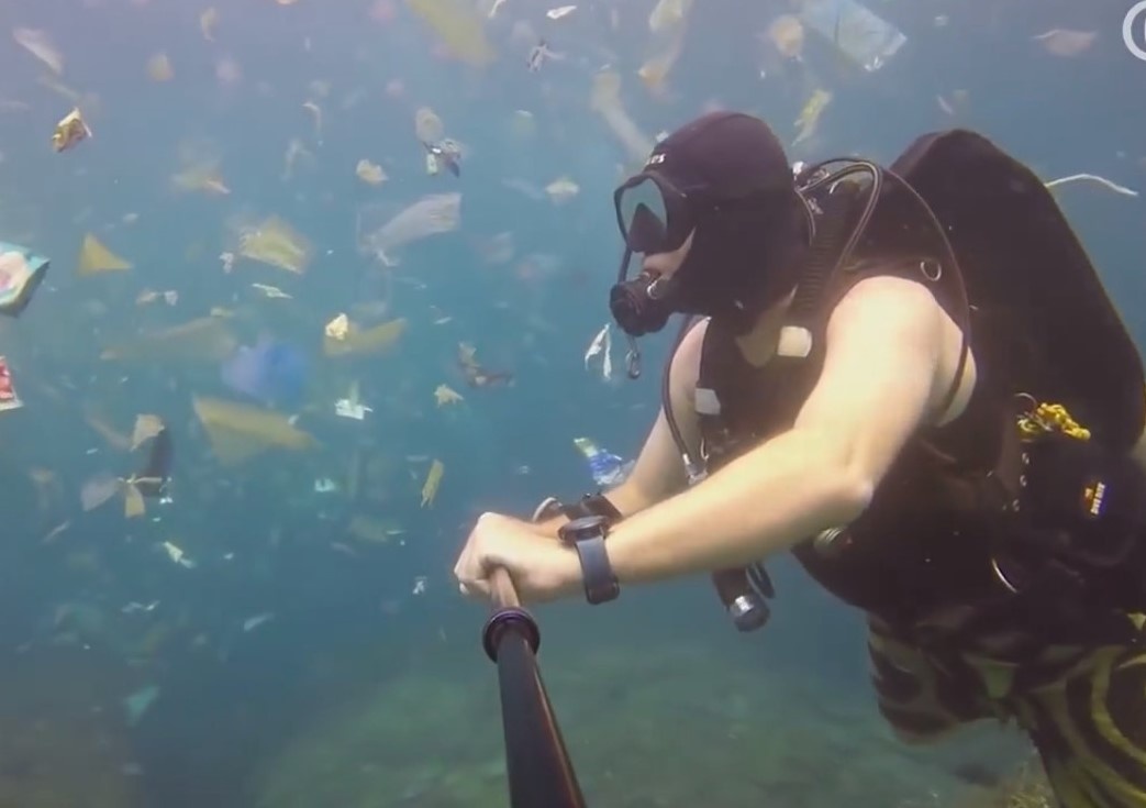 Mot trong nhung vat duoc tim thay nhieu nhat o dai duong hinh anh