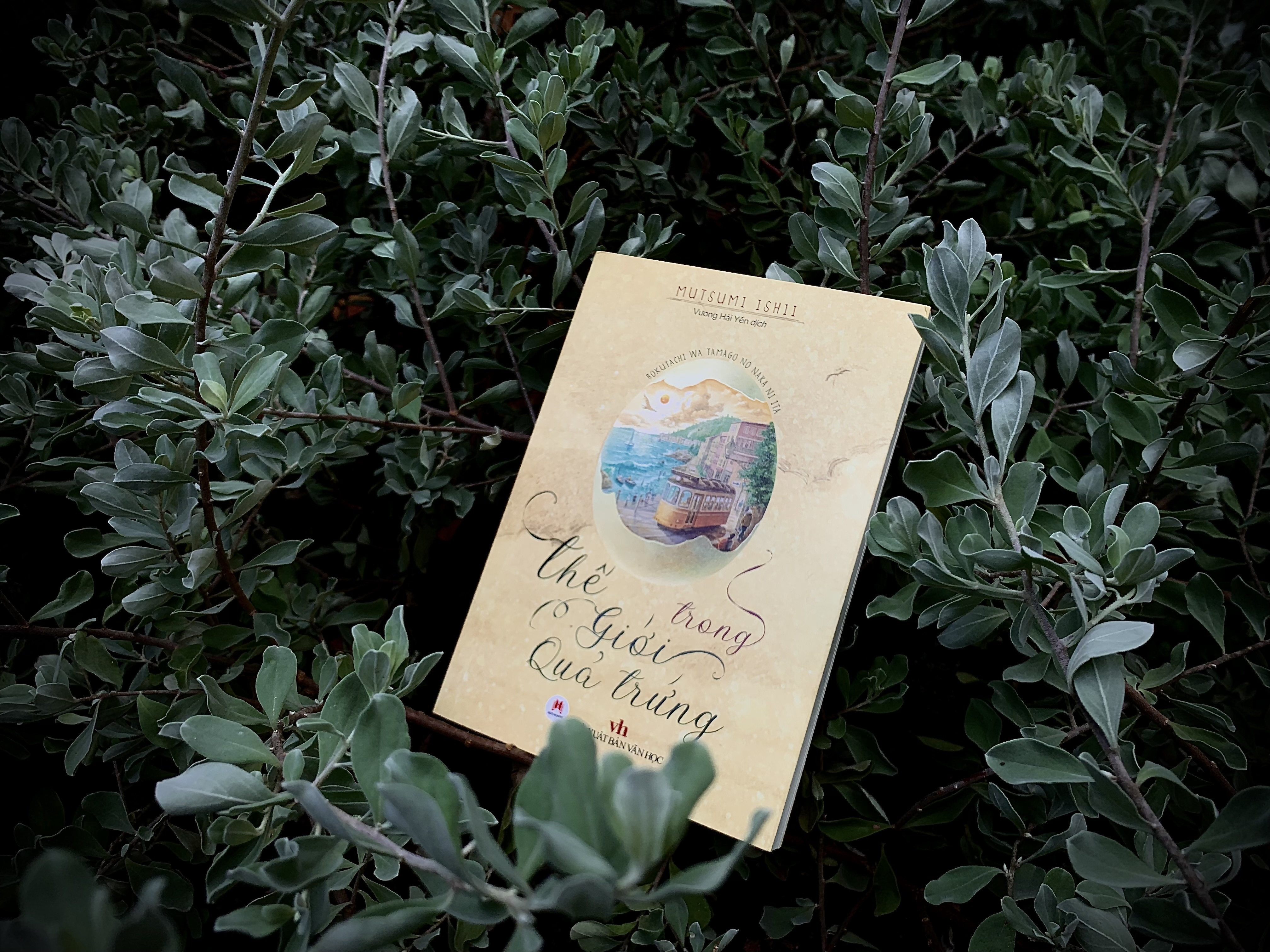 Lua chon tren hanh trinh truong thanh hinh anh