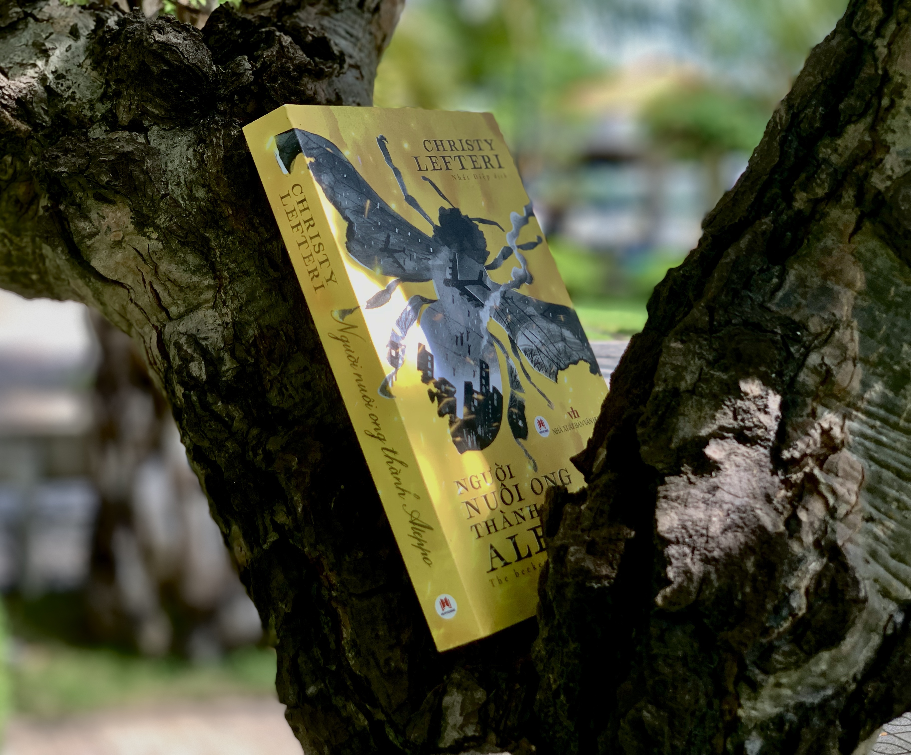 Thuong ton cua nguoi di dan hinh anh