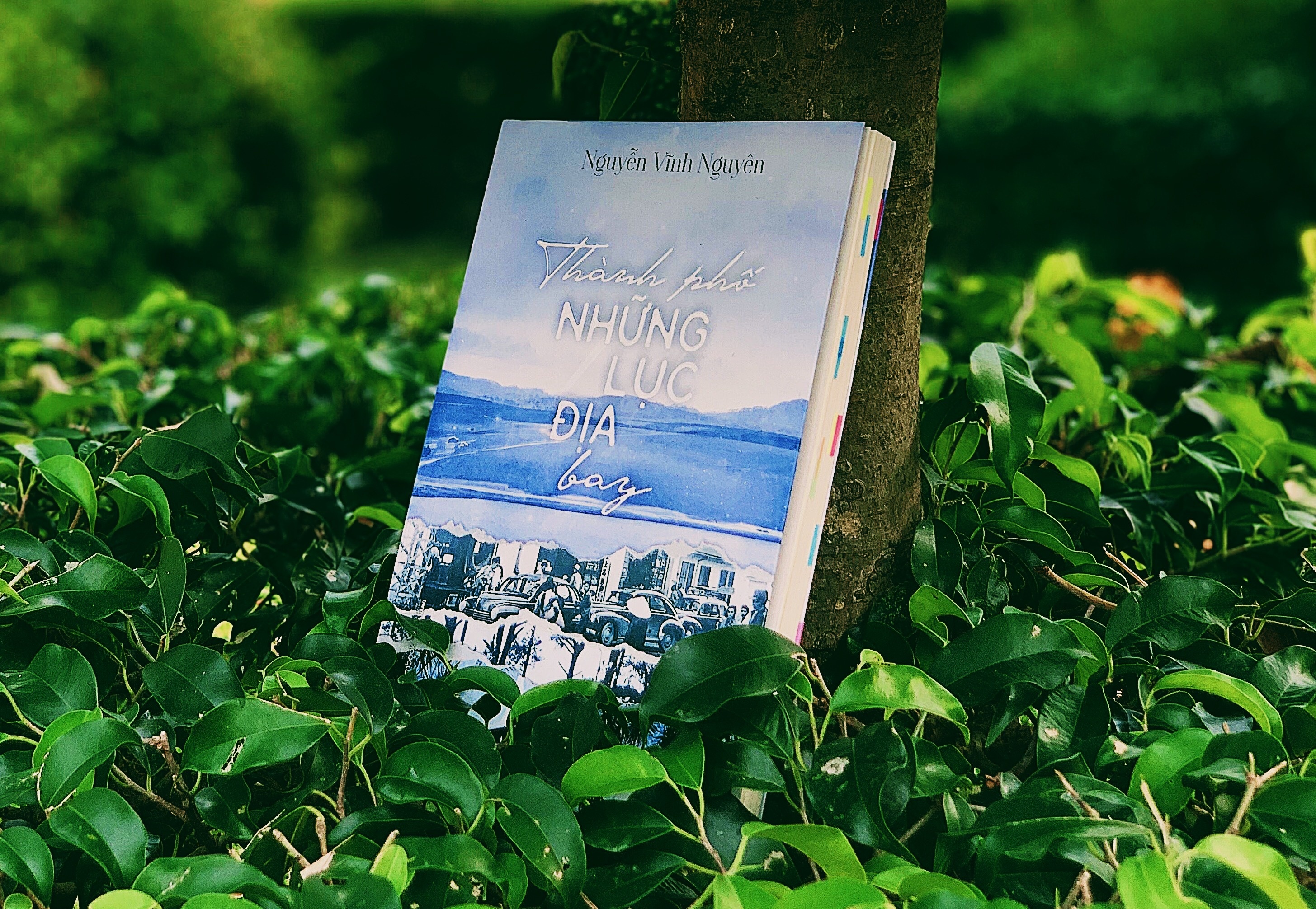 Nguoi lu khach cua Da Lat hinh anh