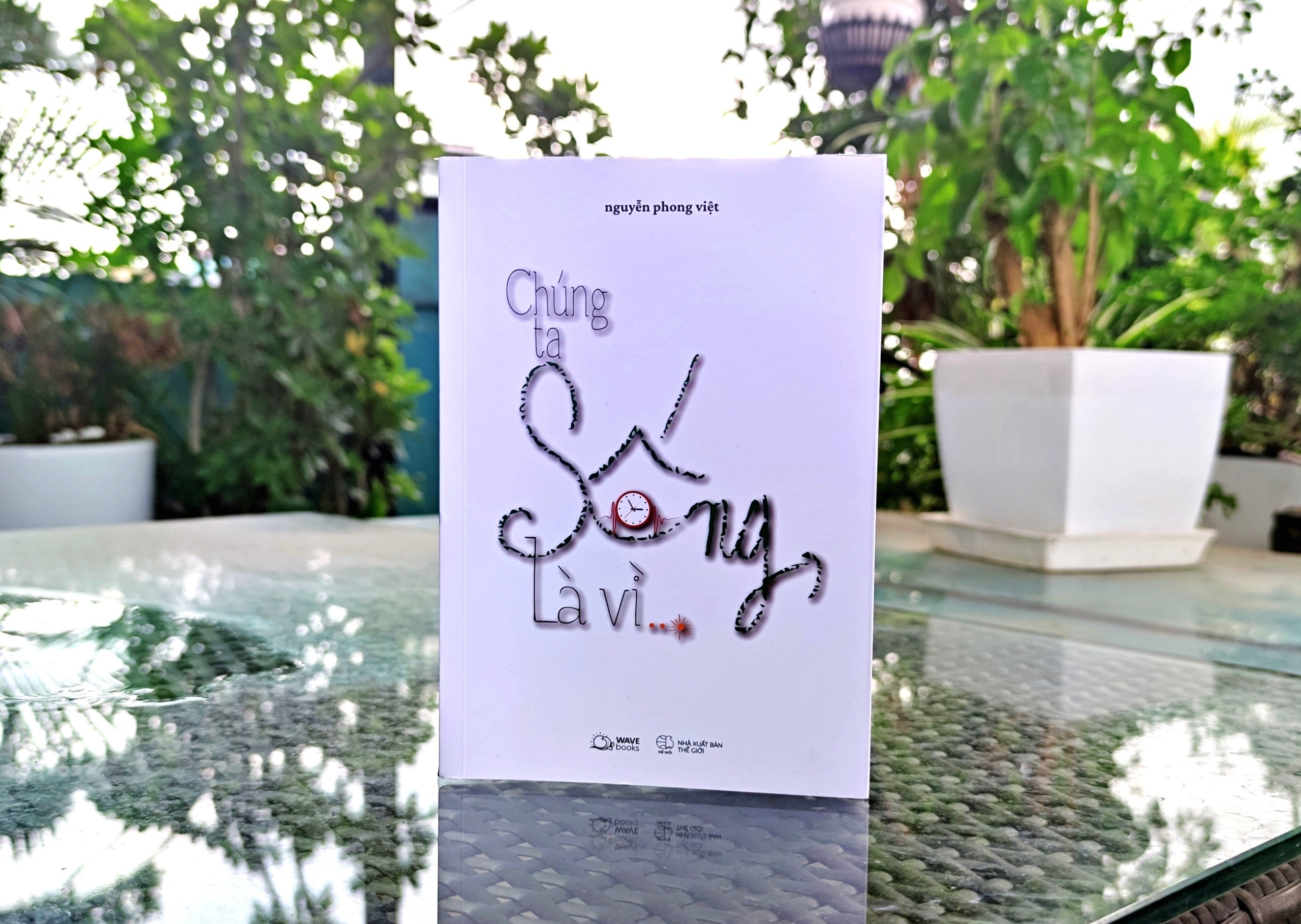 Nguyen Phong Viet anh 2