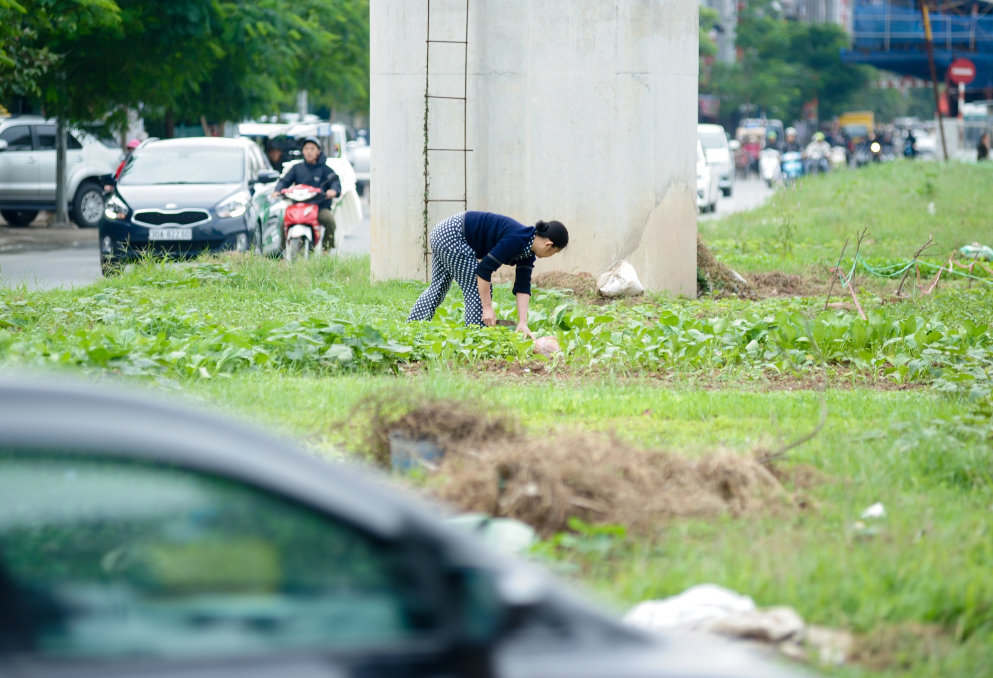 Một bác gái giấu tên cho biết: Cách đây 3 tháng, thấy khu đất rộng rãi mà chưa sử dụng nên bác cải tạo để trồng rau. Những người dân đi tập thể dục buổi sáng cũng liền học theo. Vì thế dải phân cách dần dần được phủ màu xanh. Với khoảng hơn 50 mét vuông đất, bác đã thừa rau ăn.