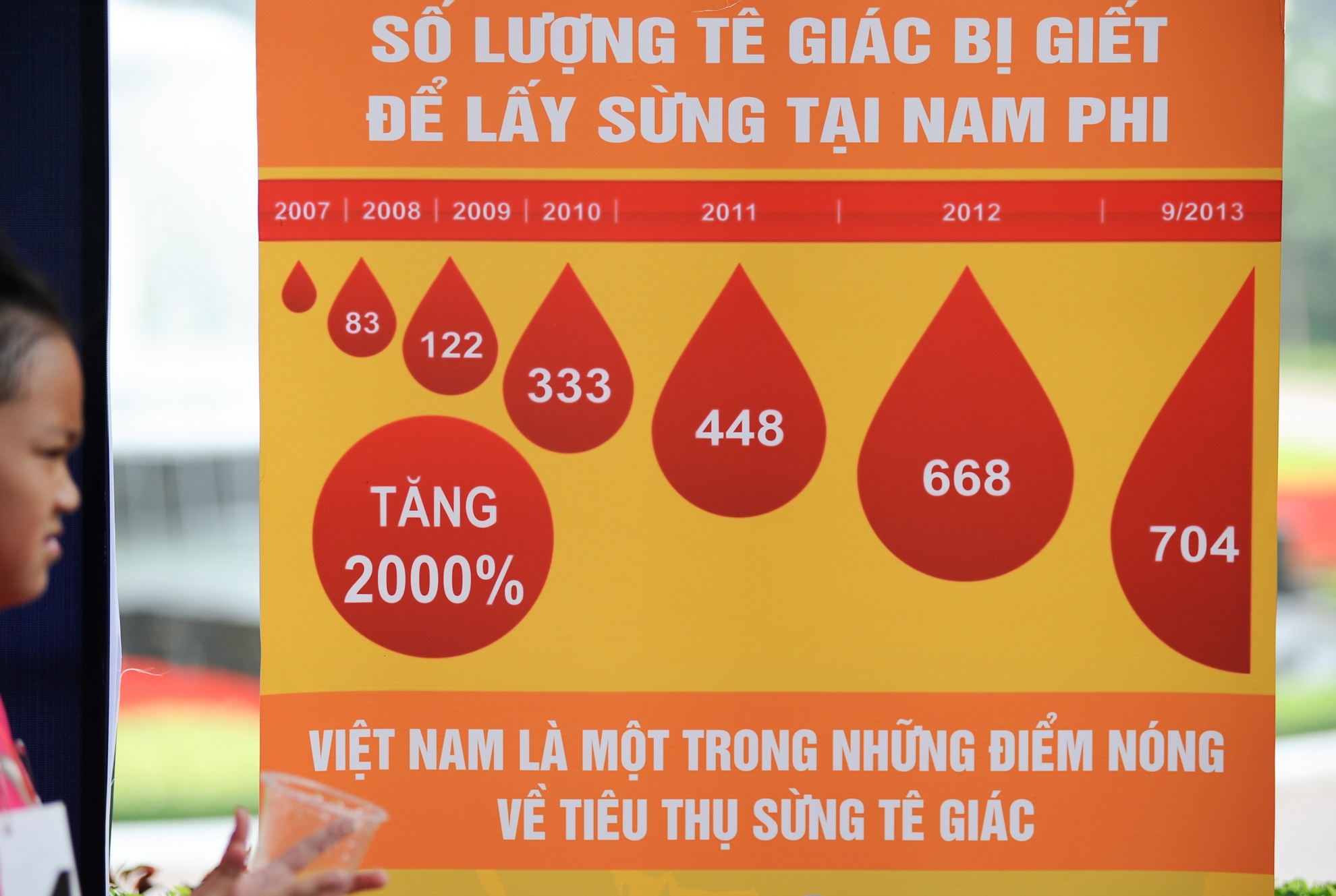 Trong 6 năm (từ 2007 đến 2013), số lượng tê giác bị giết hại ở Nam Phi đã tăng lên 2000%. Và Việt Nam là một trong hai thị trường tiêu thụ chính của mặt hàng này.