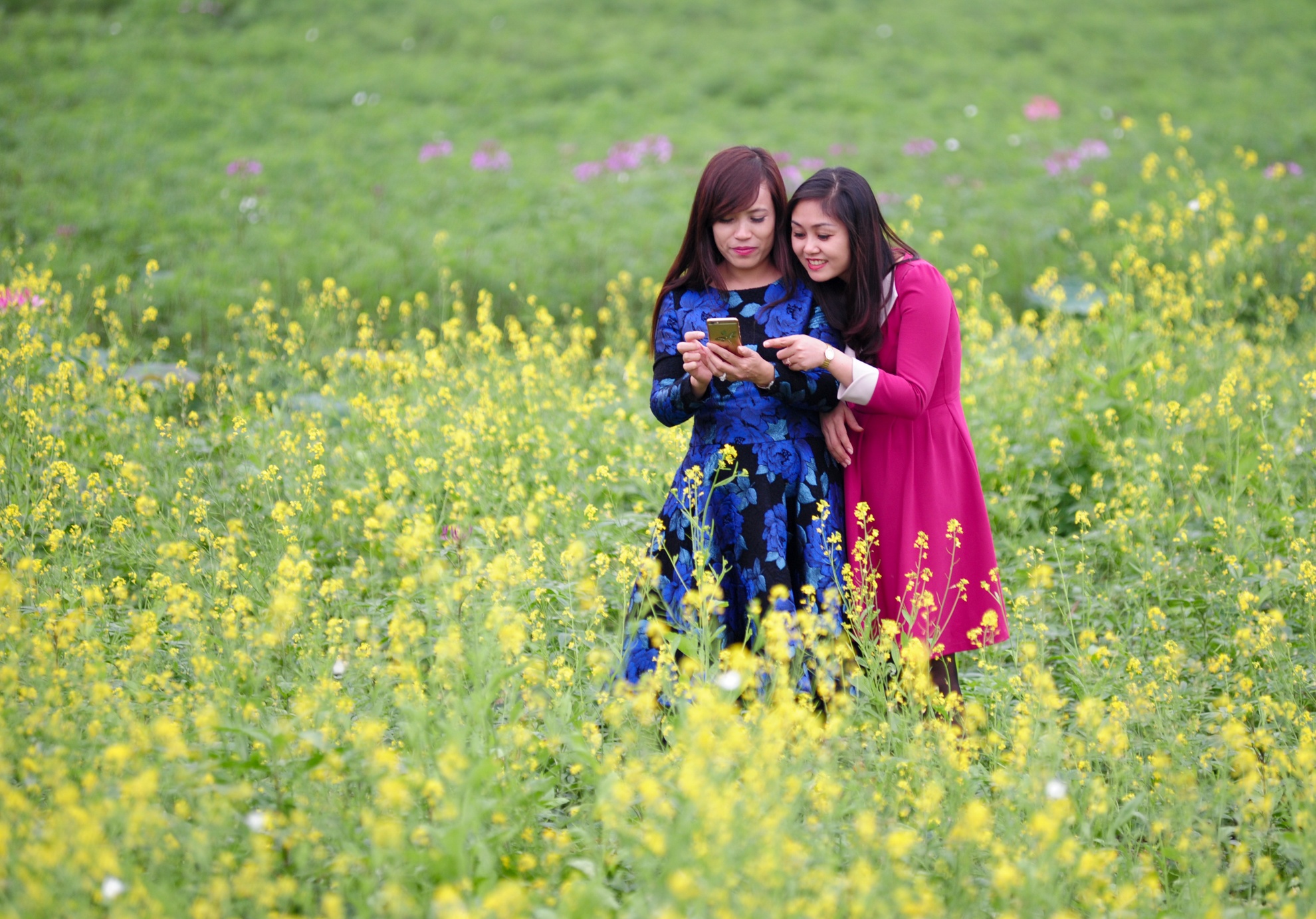 Thung lung hoa ho Tay hoi sinh sau khi bi giam nat hinh anh