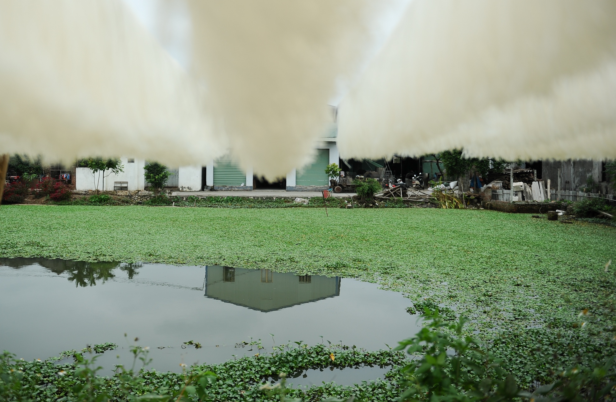 Những vắt mỳ được phơi bên ao nước đen do chính những cơ sở sản xuất thải ra.