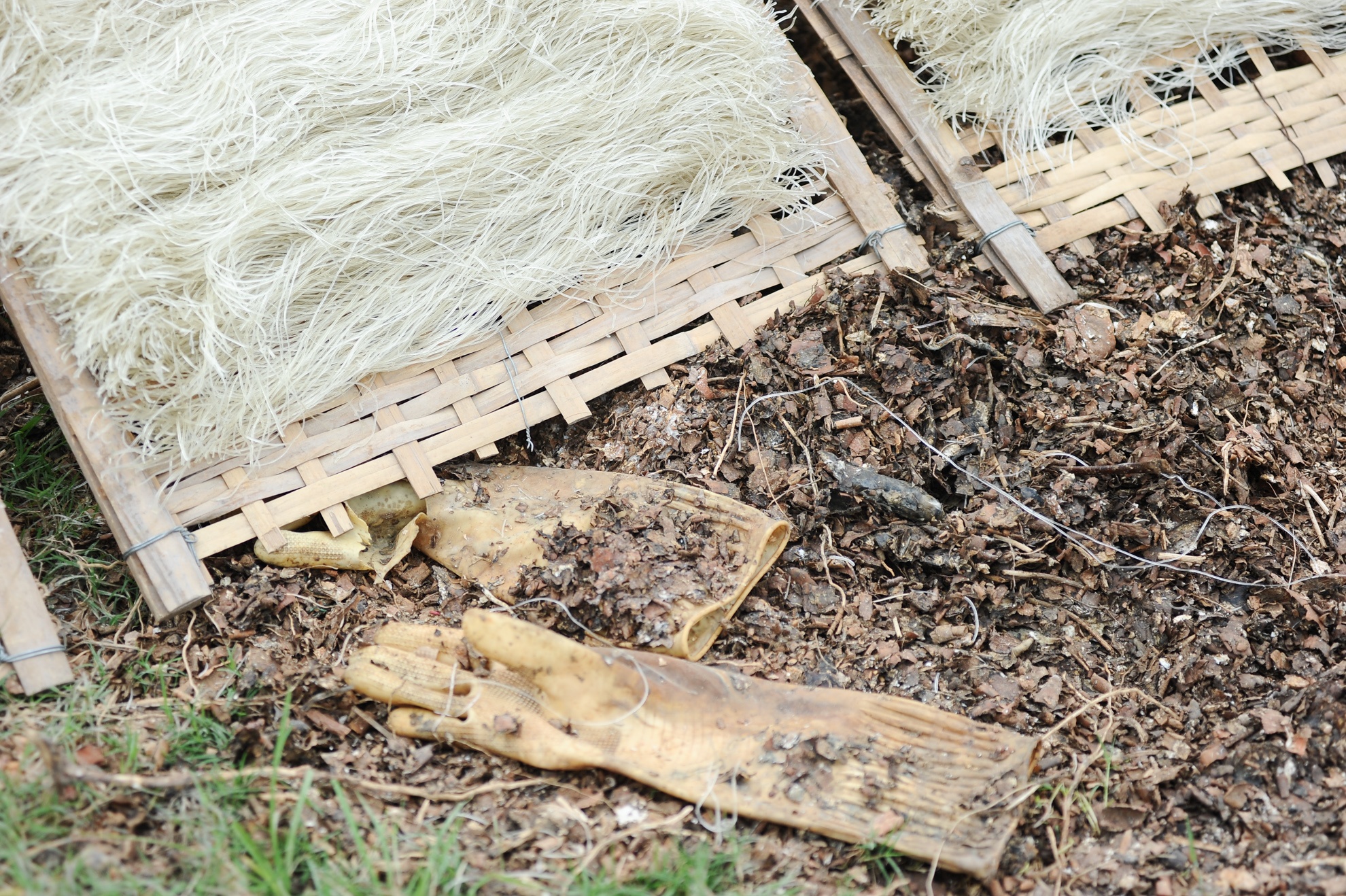 Vỏ sắn nhiều khi được đổ thẳng ra đồng. Và những sợi mỳ lại được phơi ngay trên đống vỏ đang trong thời gian phân huỷ.