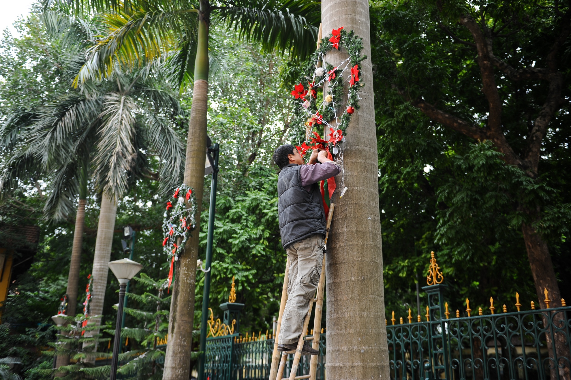 Còn một tuần nữa mới đến noel nhưng tại các nhà thờ, các giáo dân đã chuẩn bị dọn dẹp, trang hoàng để phủ lên nhà thờ một màu áo mới, đẹp mắt và tươi vui hơn.