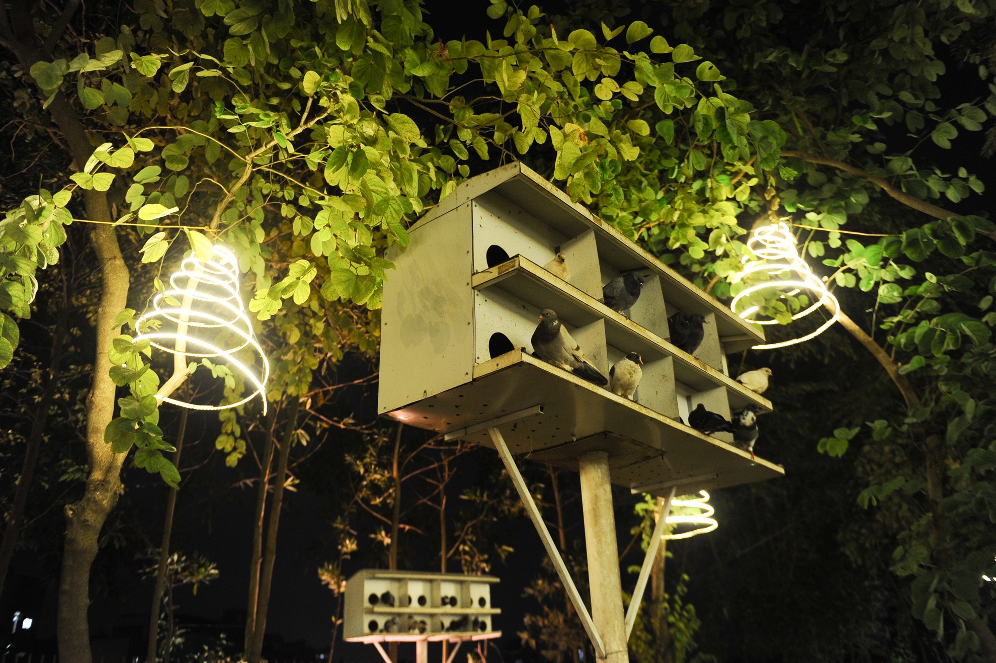 Nơi đây vốn là nơi tự học, thư giãn của sinh viên trường. Suốt bốn mùa, vườn cây luôn xanh tốt với những chú chim bồ câu thư thả kiếm ăn.