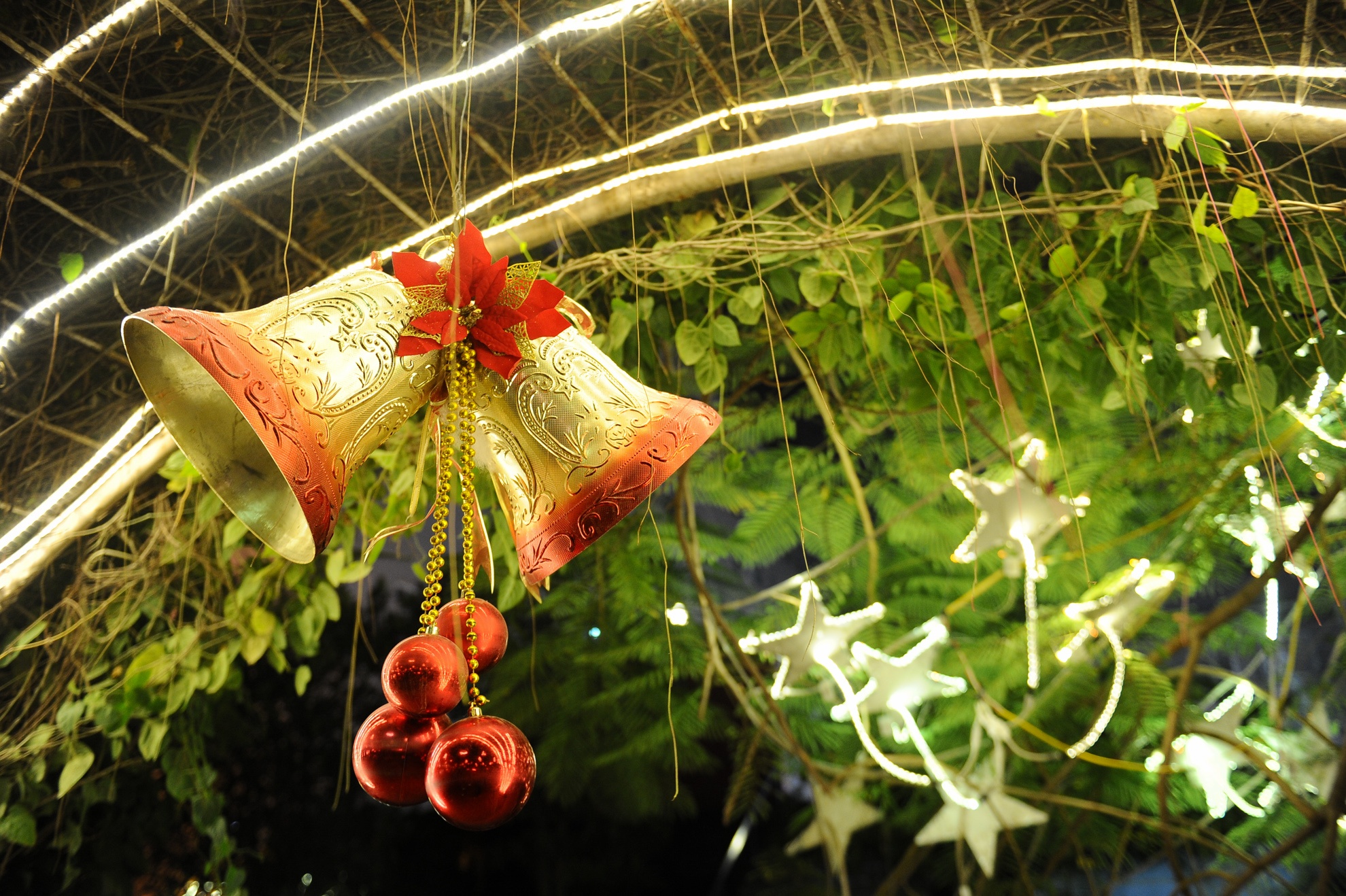 Trên cổng vòm của cây dây leo được trang trí bằng những chiếc chuông.