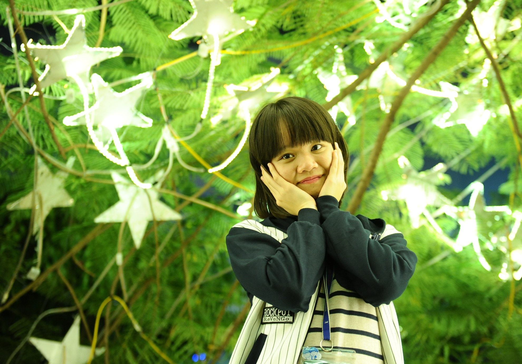 Khu vuon Noel dep long lay cua sinh vien Thang Long hinh anh