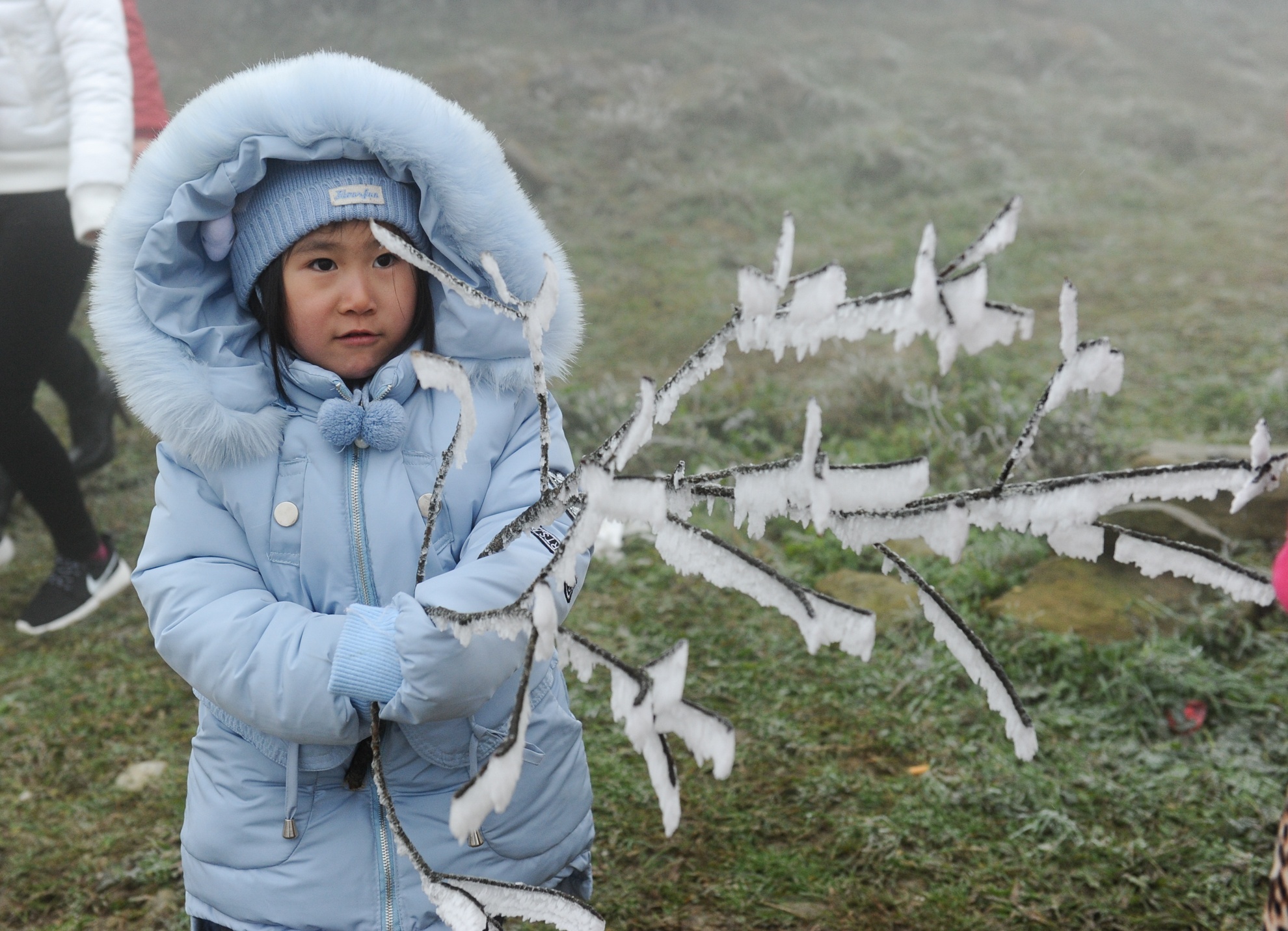 Du khach len Mau Son ngam bang, chay phong khach san hinh anh