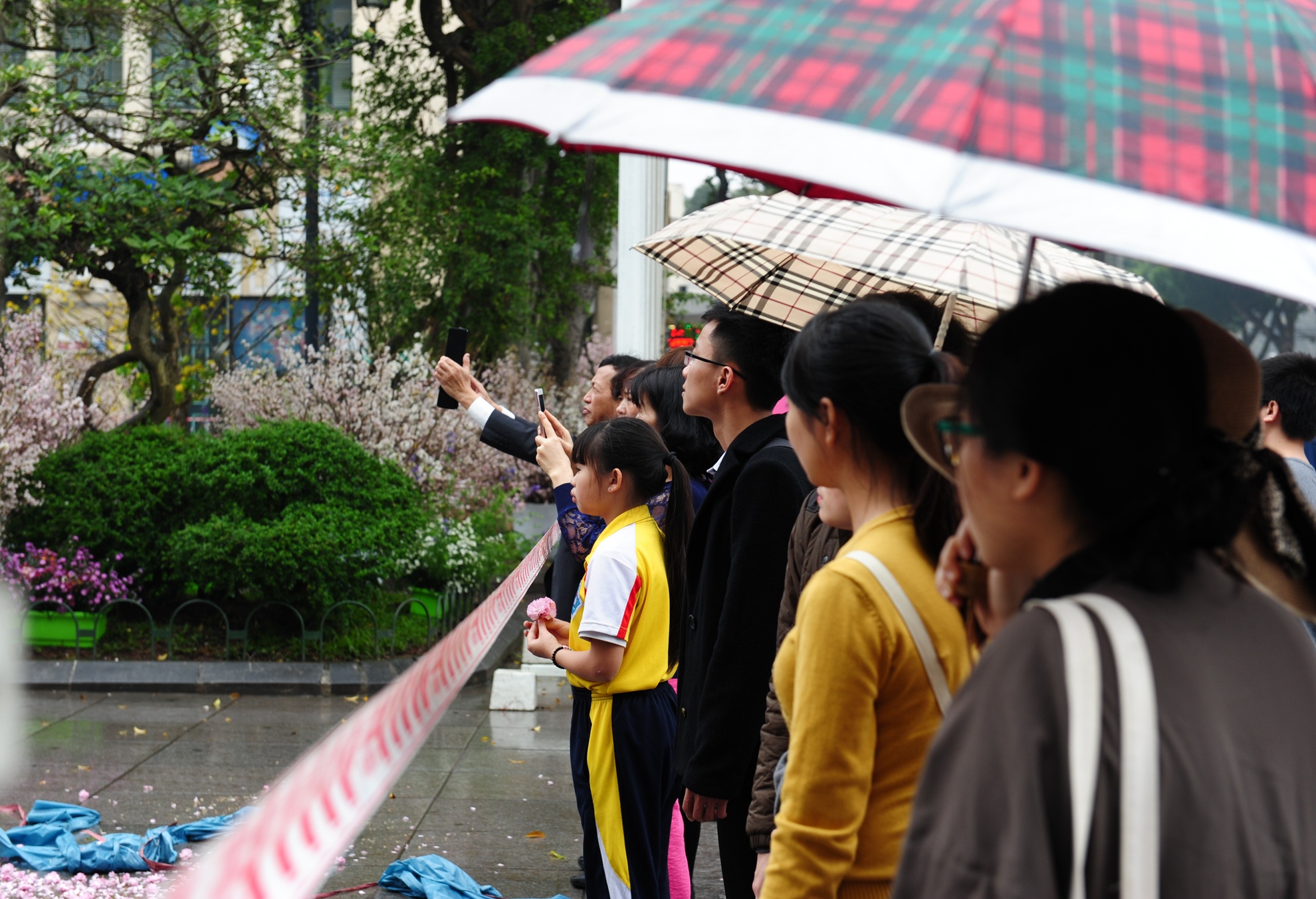 bao ve hoa anh dao anh 1