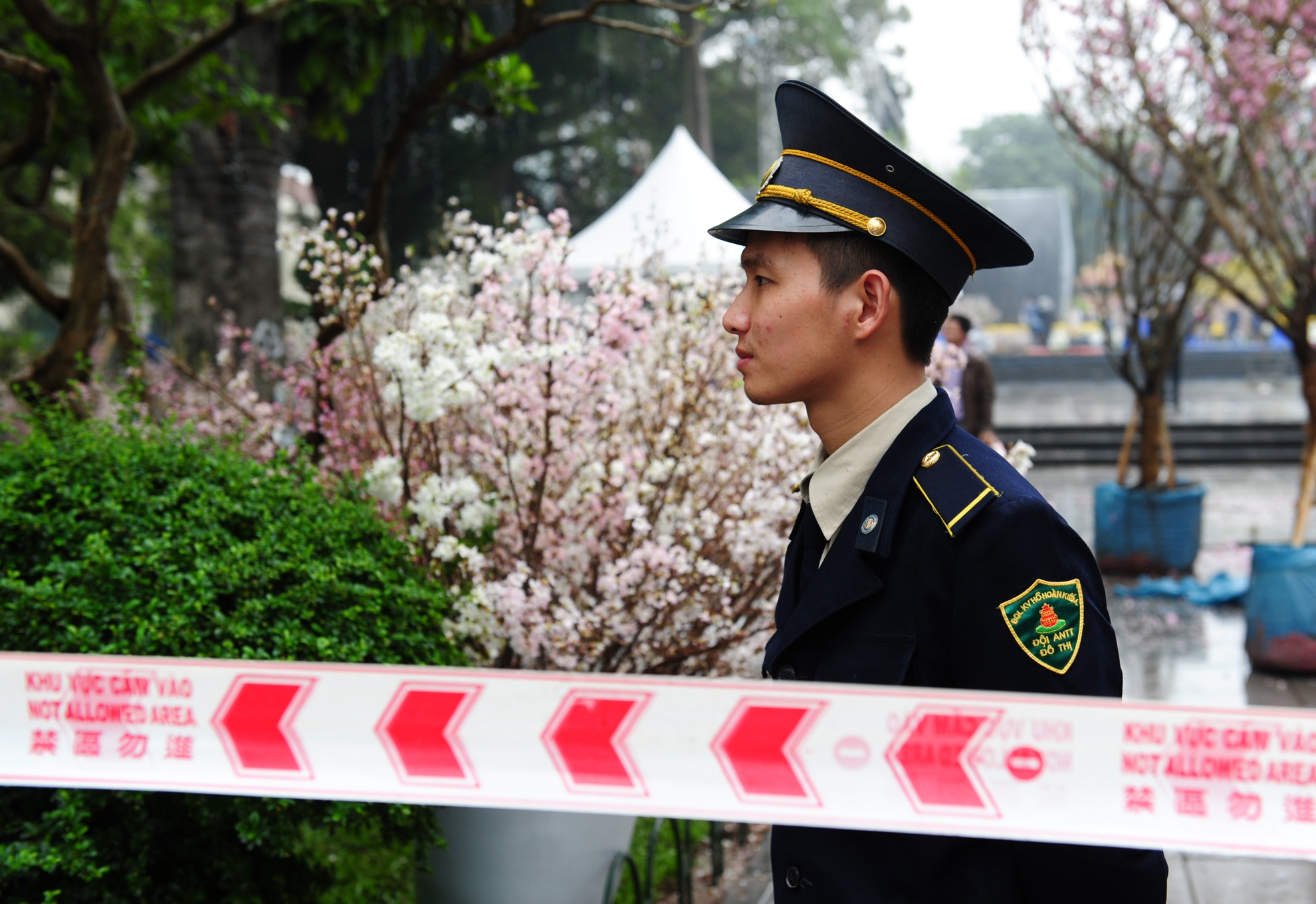 bao ve hoa anh dao anh 2