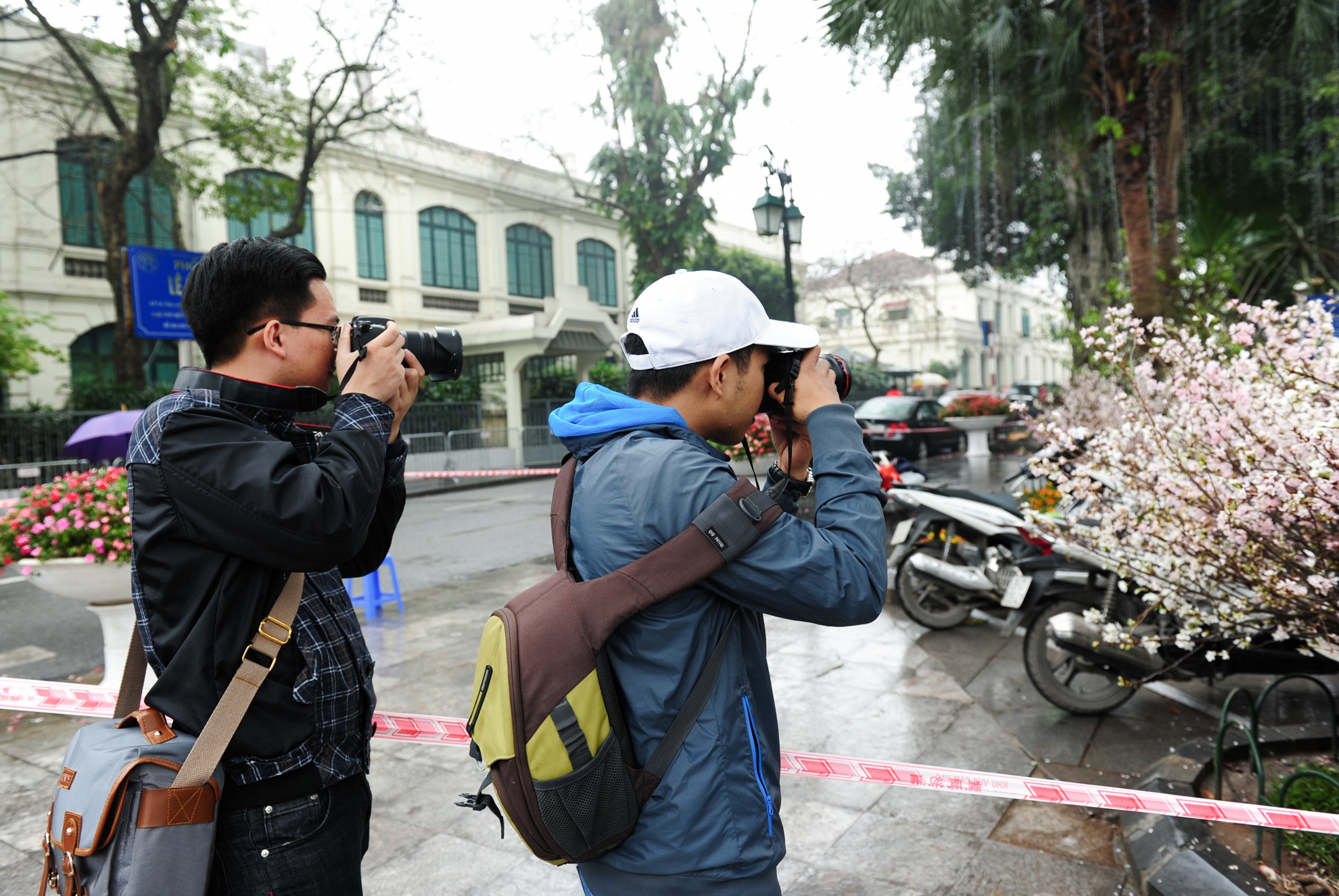 bao ve hoa anh dao anh 4