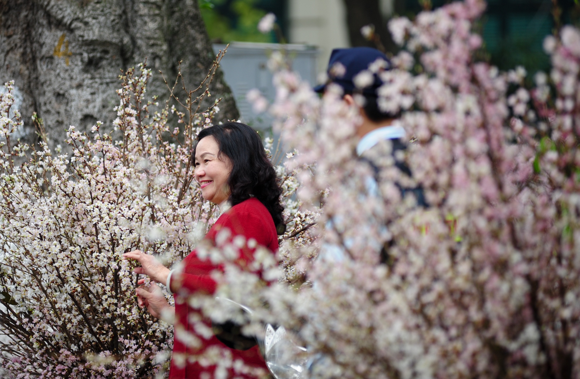 bao ve hoa anh dao anh 5