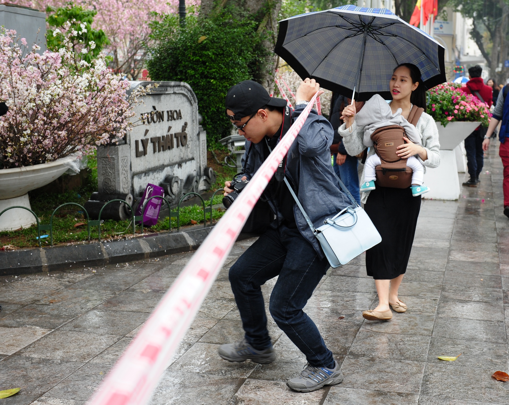 bao ve hoa anh dao anh 6