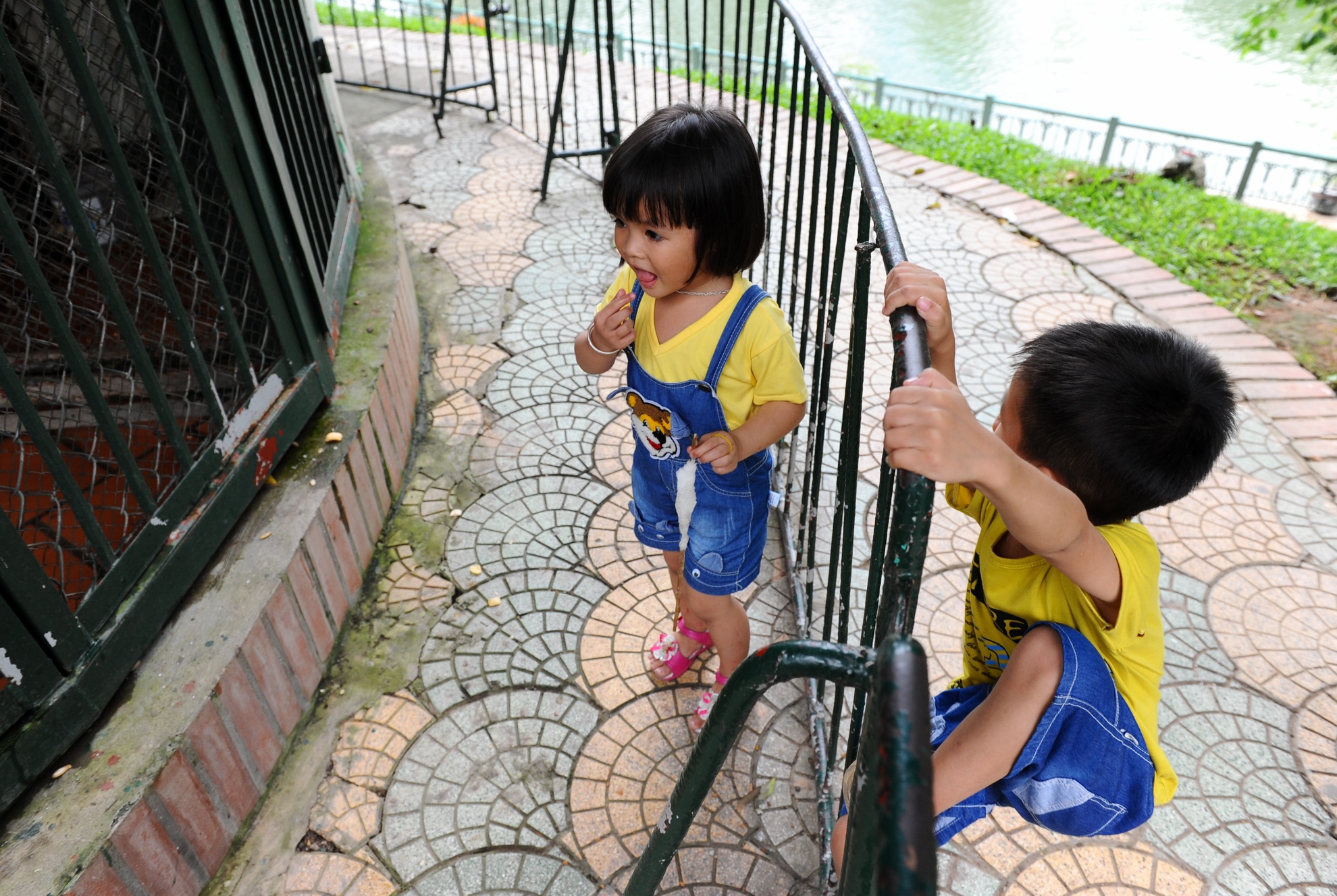 vuon thu thu le anh 10