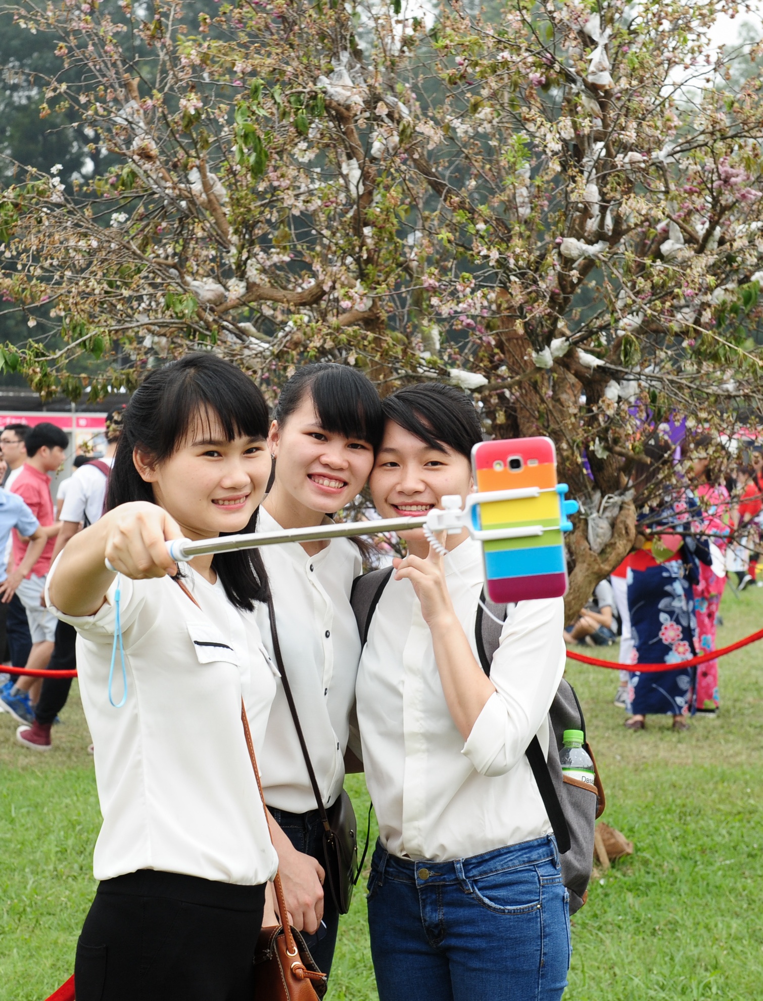 vuon thu thu le anh 14