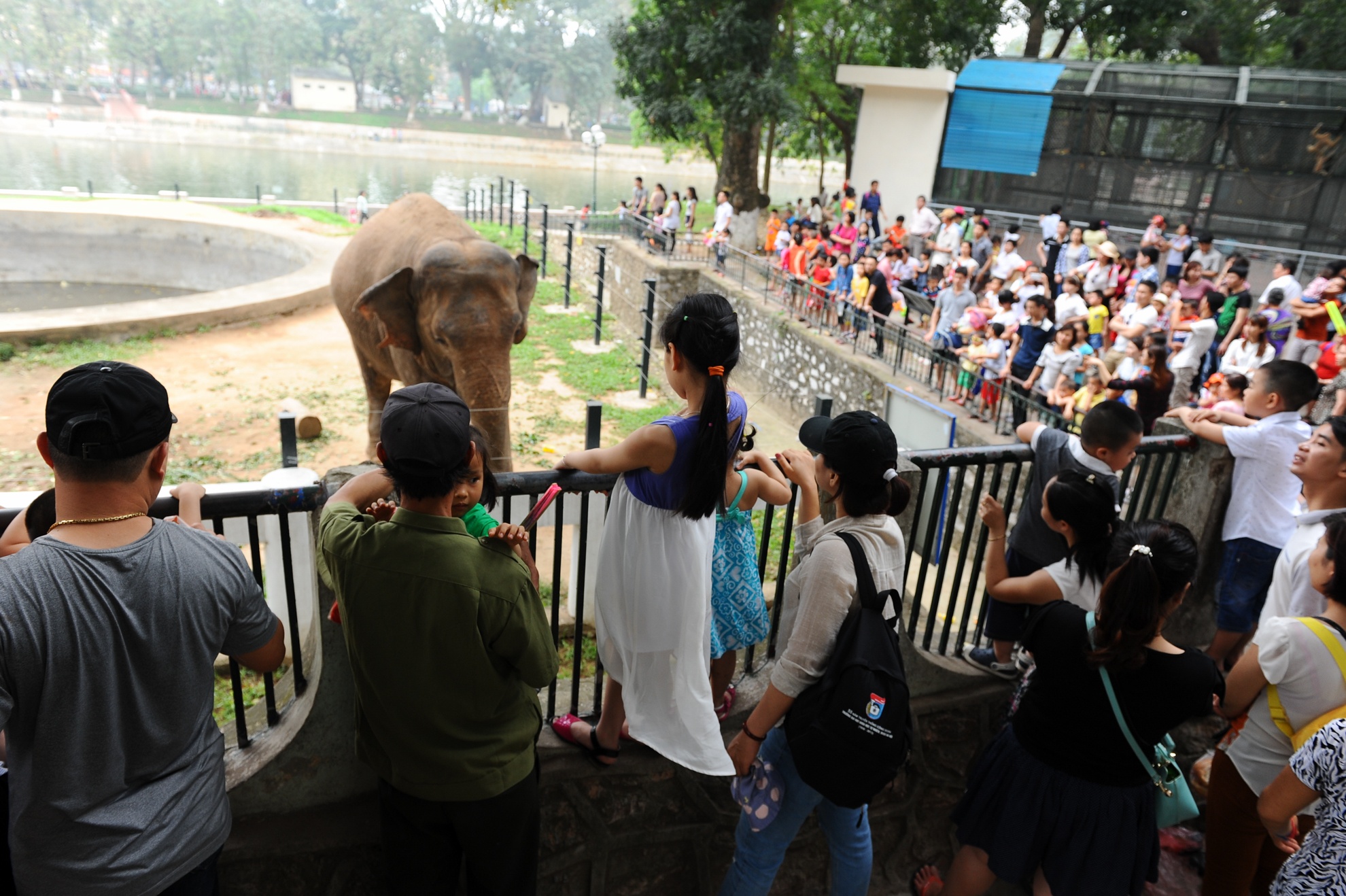 vuon thu thu le anh 8