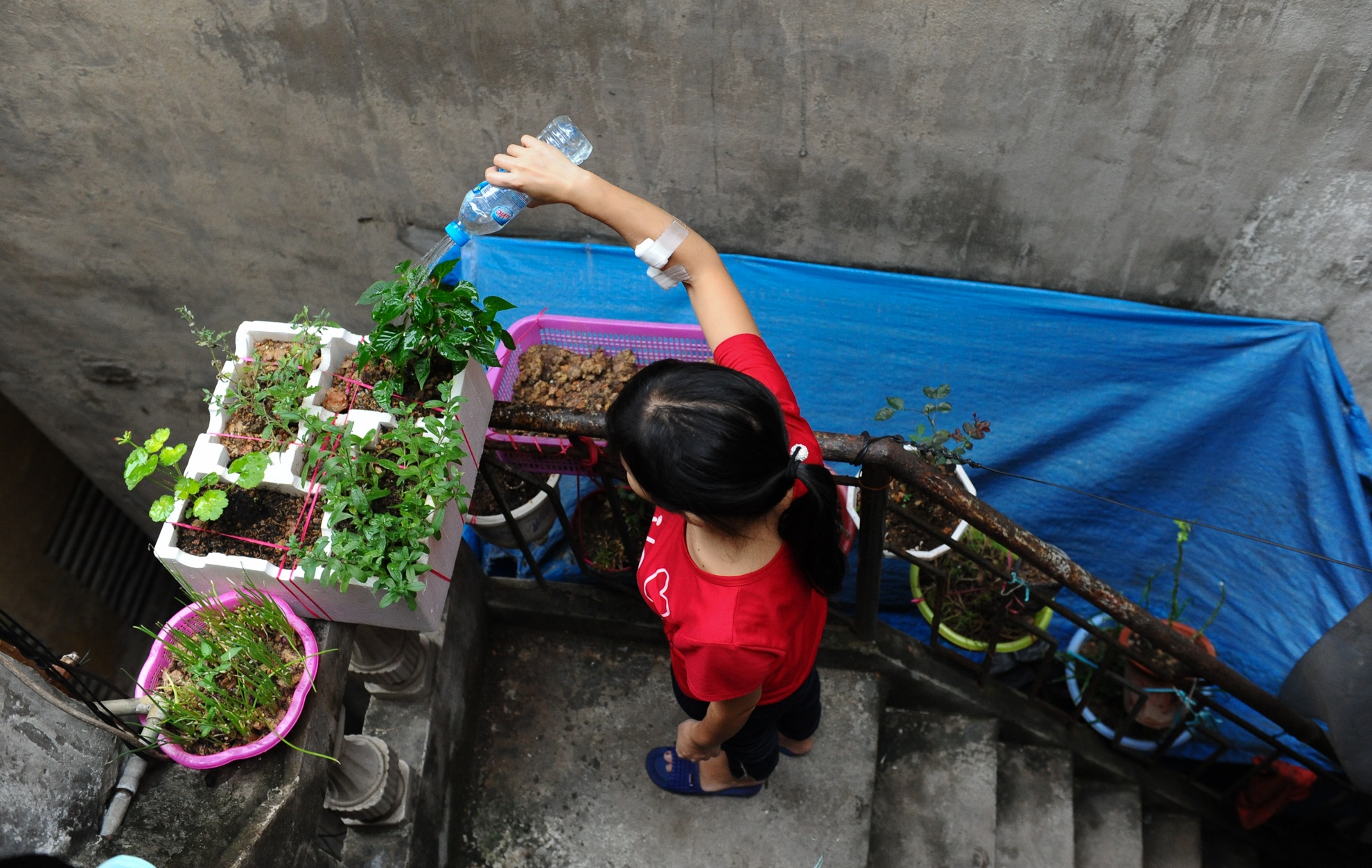 nhà văn suy thận ảnh 5 nha van suy than anh 5