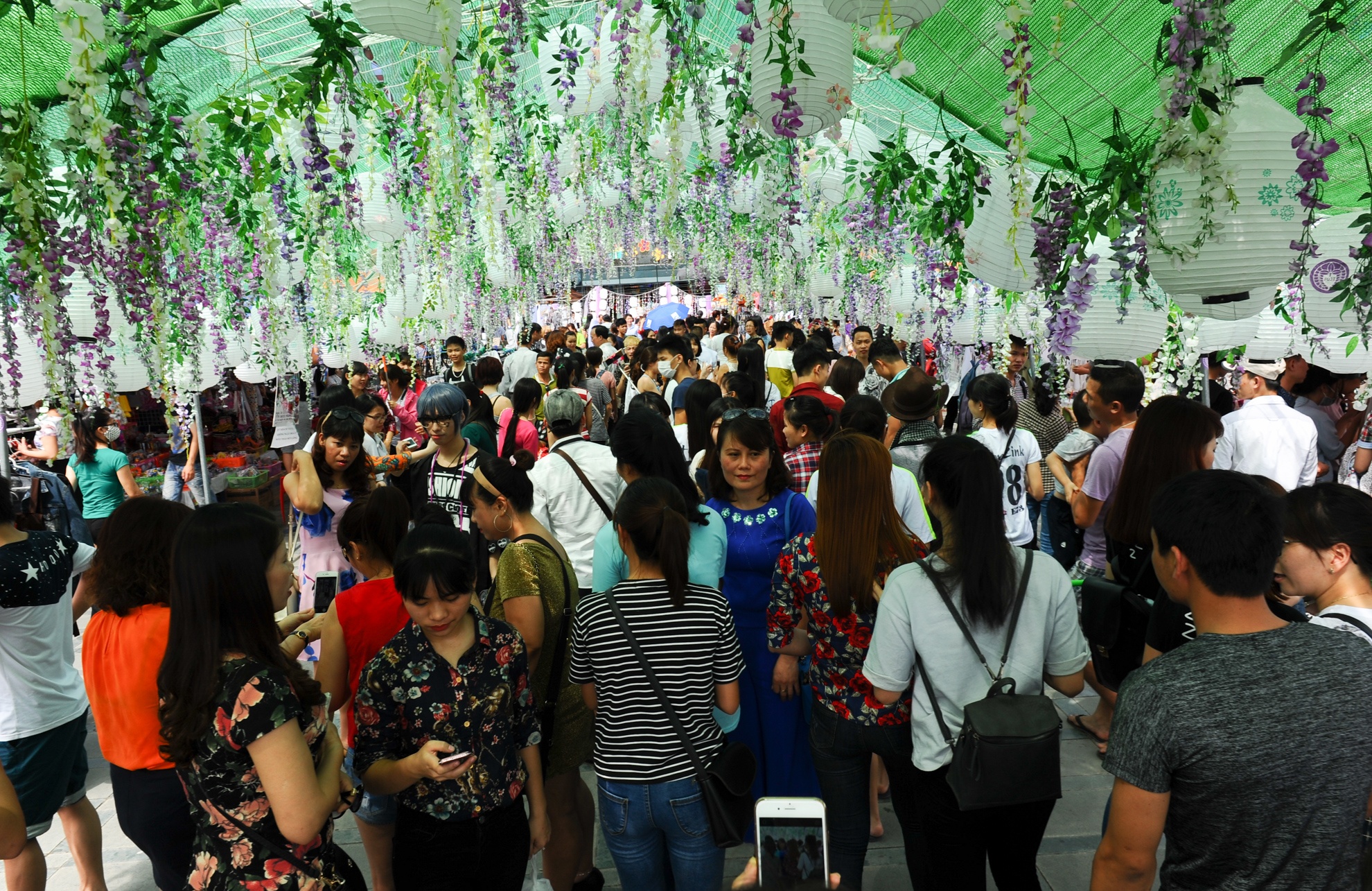 le hoi hoa tu dang gay that vong anh 1