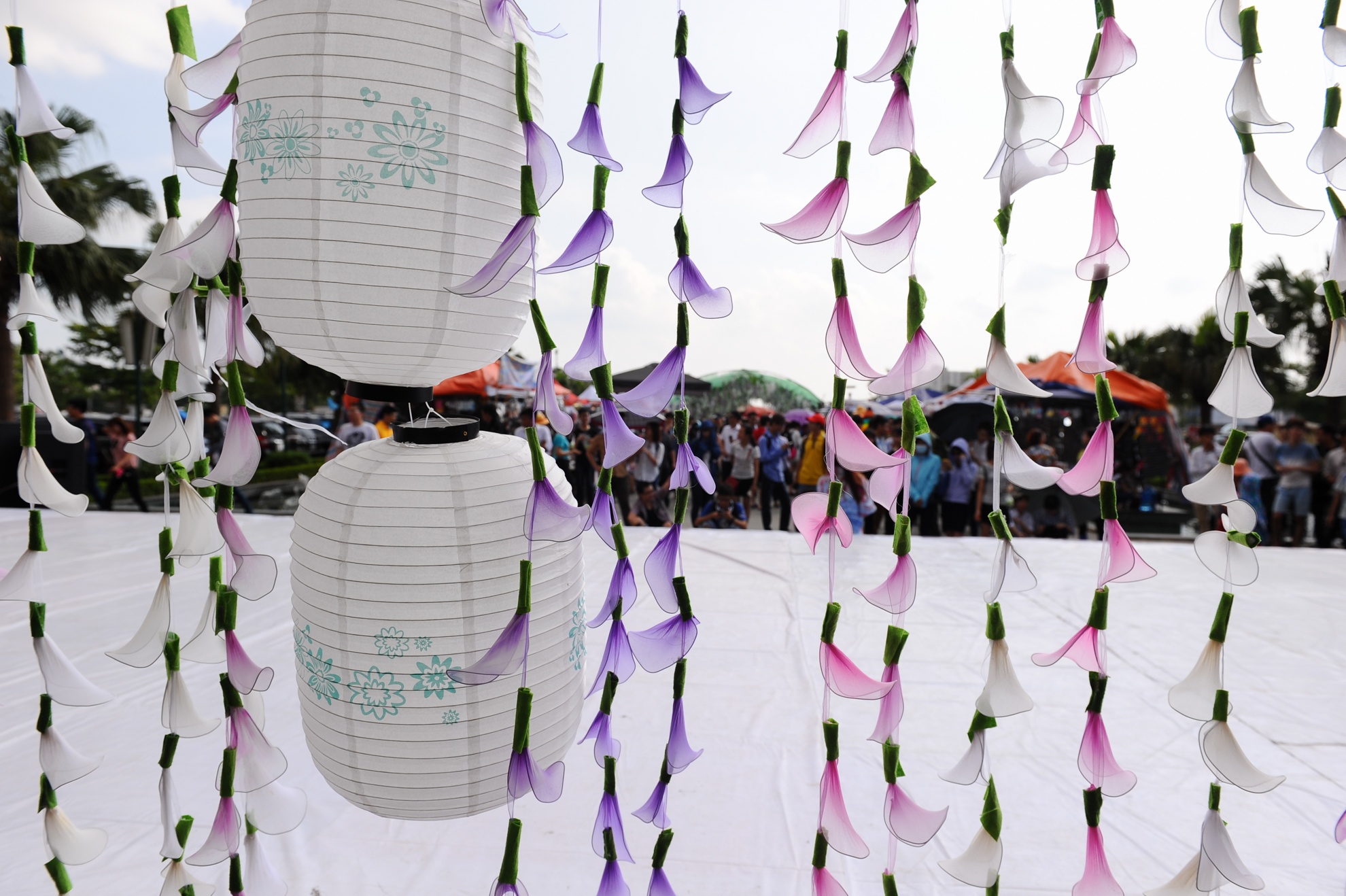 le hoi hoa tu dang gay that vong anh 9