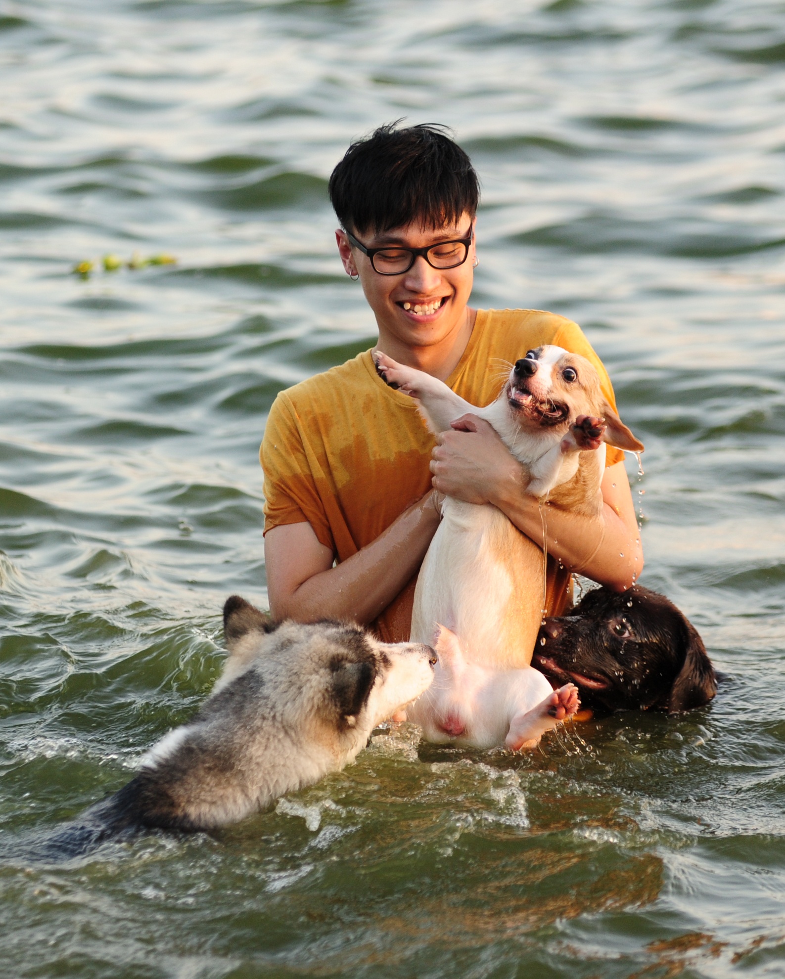 nang nong 39 do C anh 4