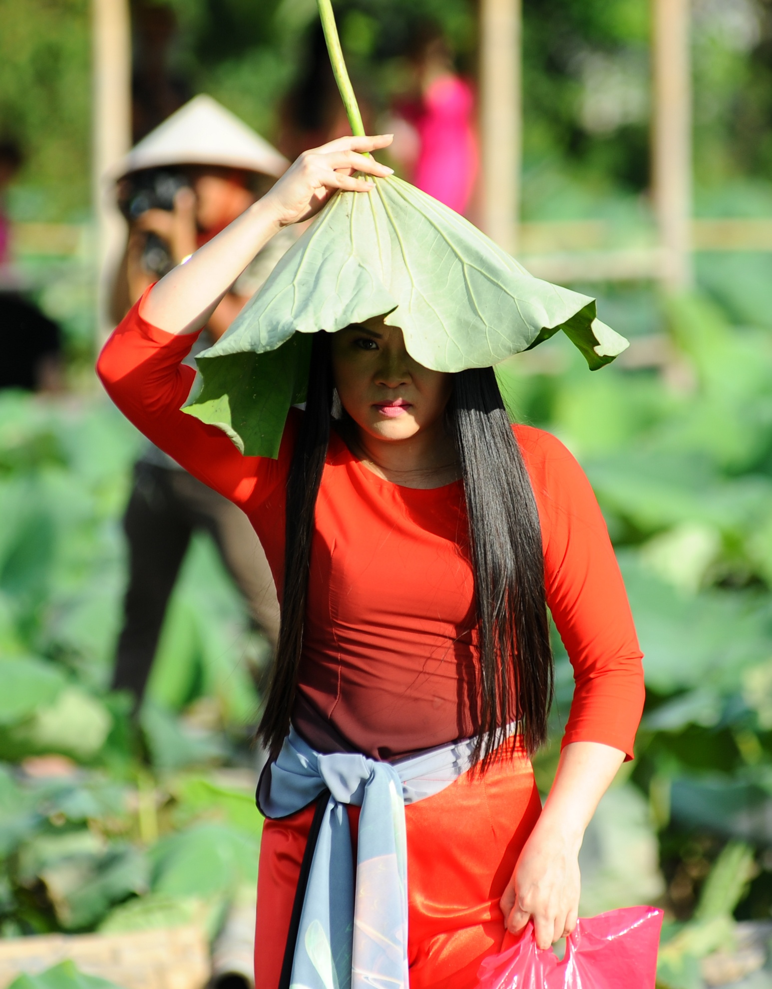 chụp ảnh với lá sen ảnh 11 chup anh voi la sen anh 11