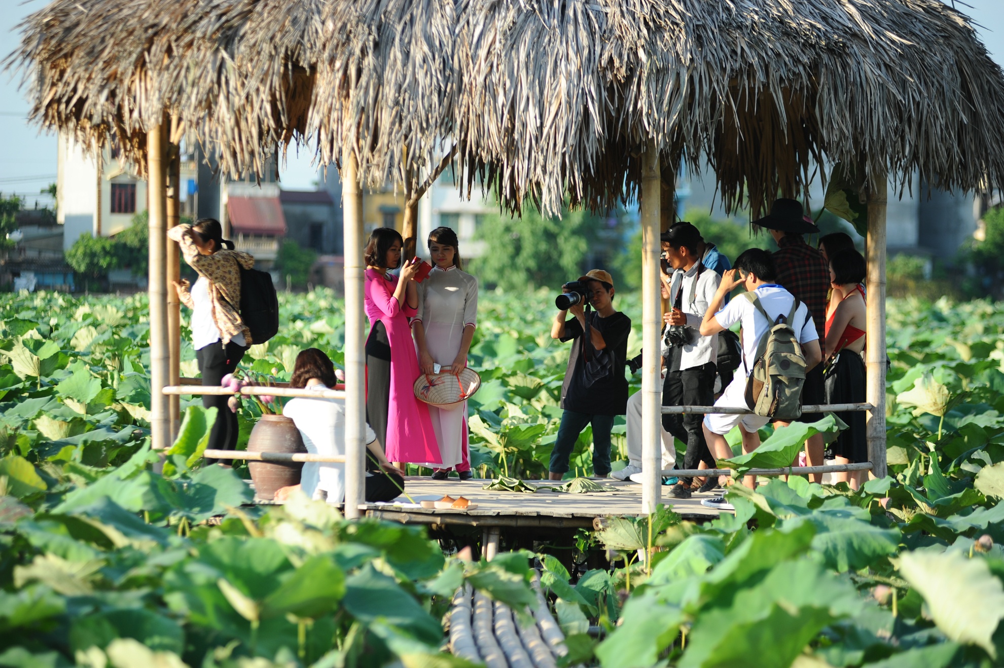 chụp ảnh với lá sen ảnh 12 chup anh voi la sen anh 12