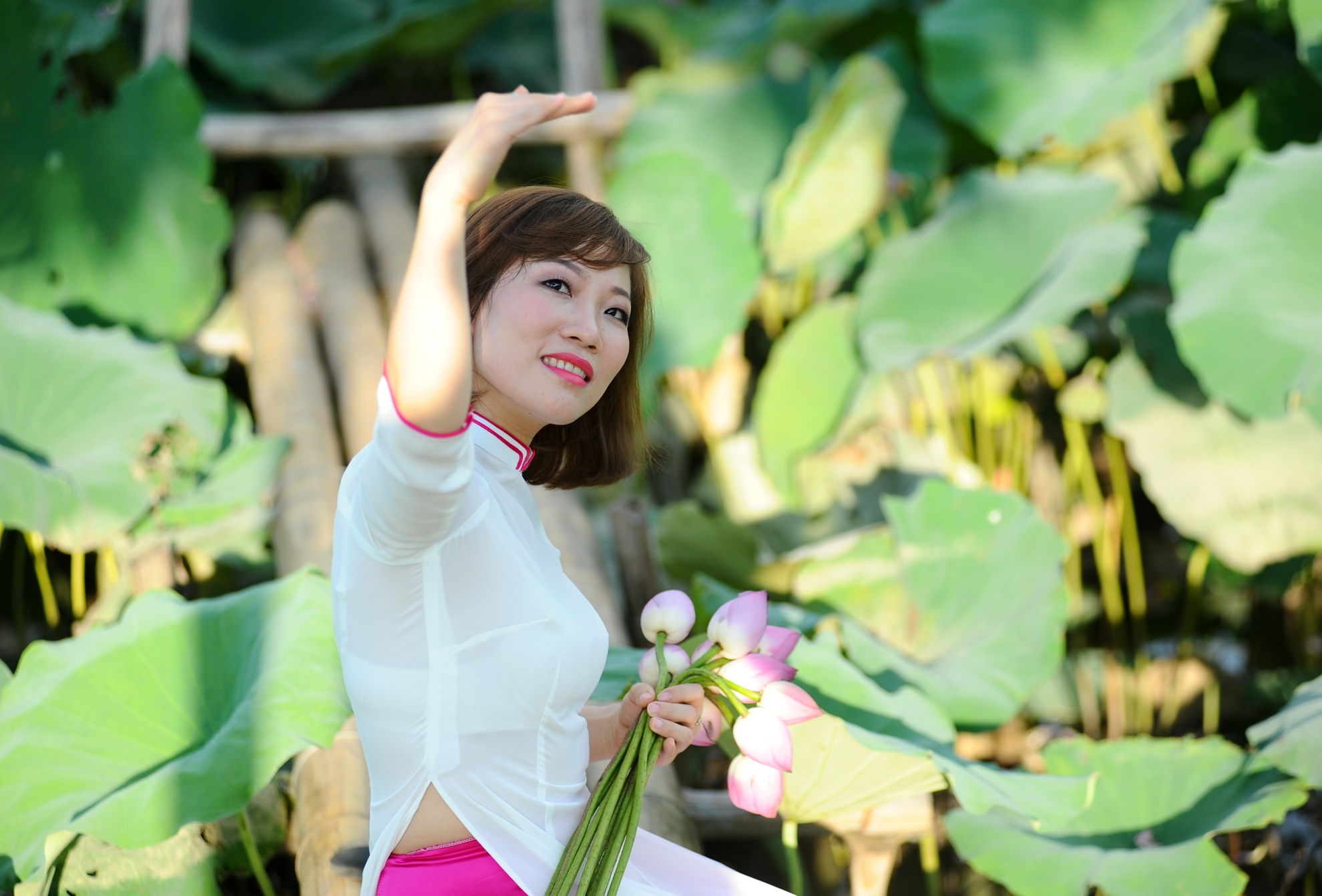 chụp ảnh với lá sen ảnh 13 chup anh voi la sen anh 13