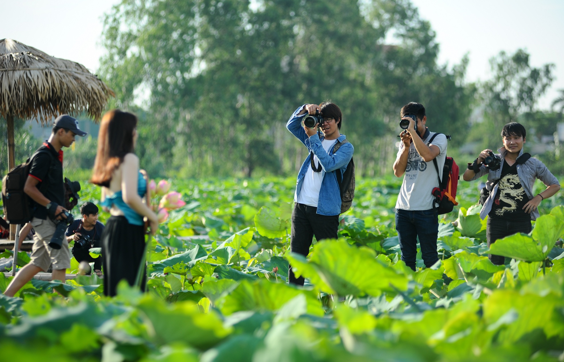 chụp ảnh với lá sen ảnh 4 chup anh voi la sen anh 4