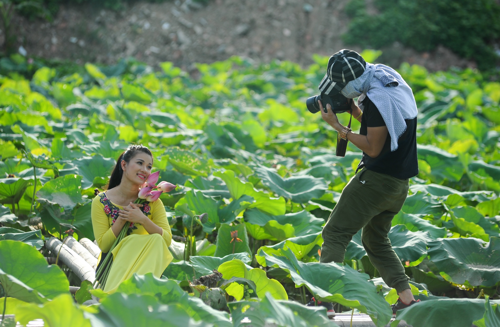chụp ảnh với lá sen ảnh 8 chup anh voi la sen anh 8