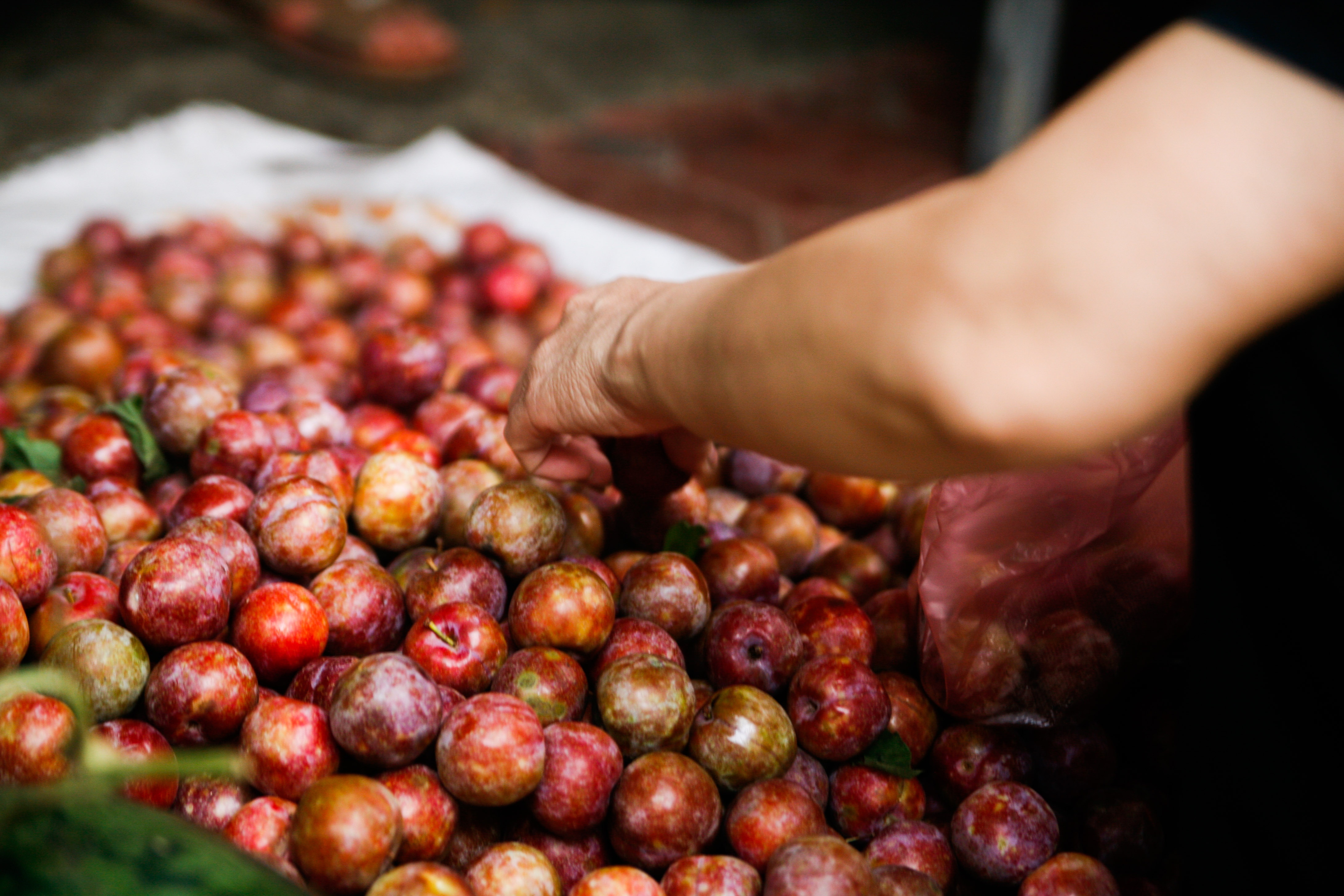 Tet Doan Ngo o Ha Noi: Ruou nep, man tam hoa dat hang hinh anh
