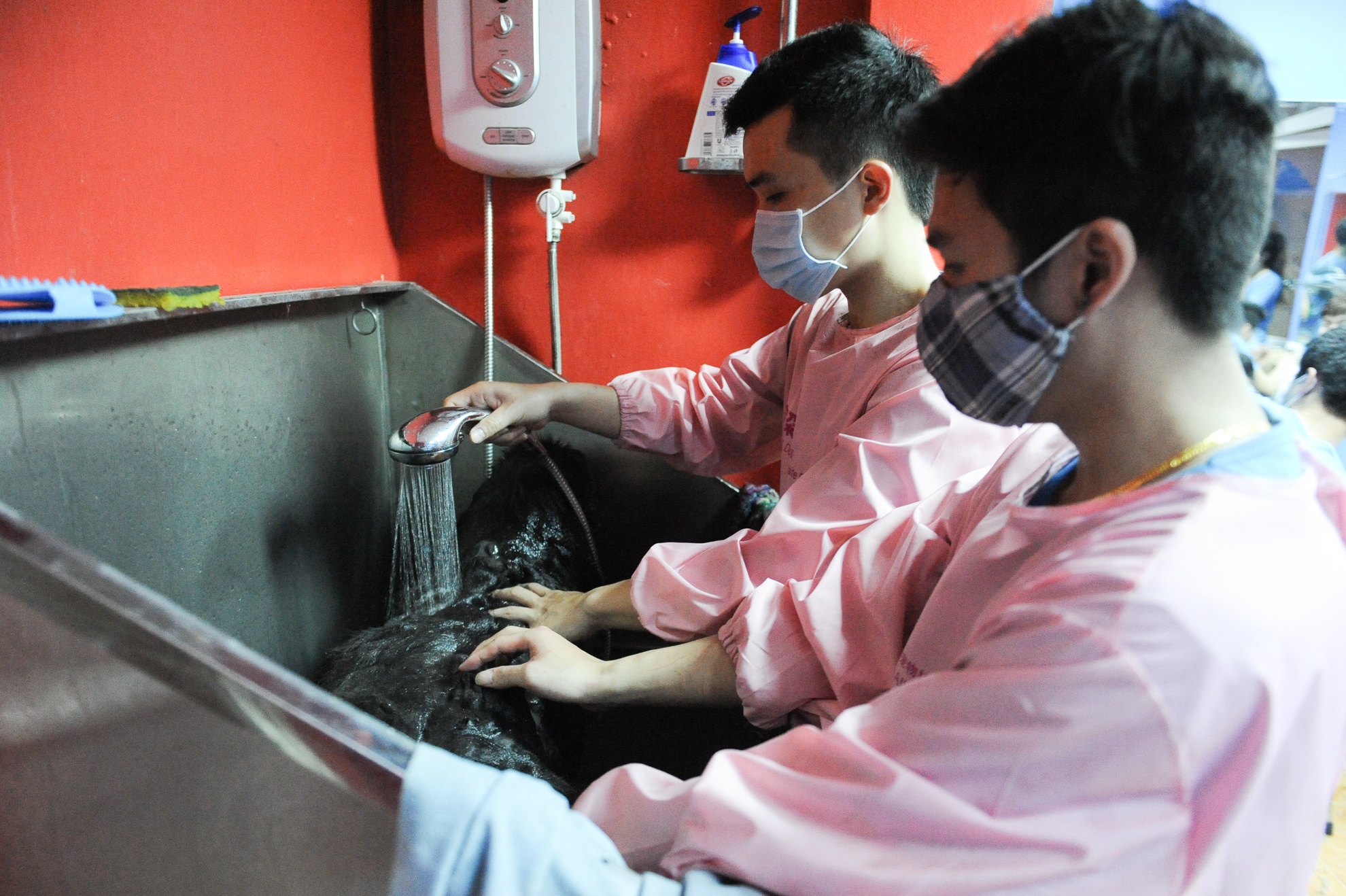 Muon kieu chong nong cua dong vat anh 12