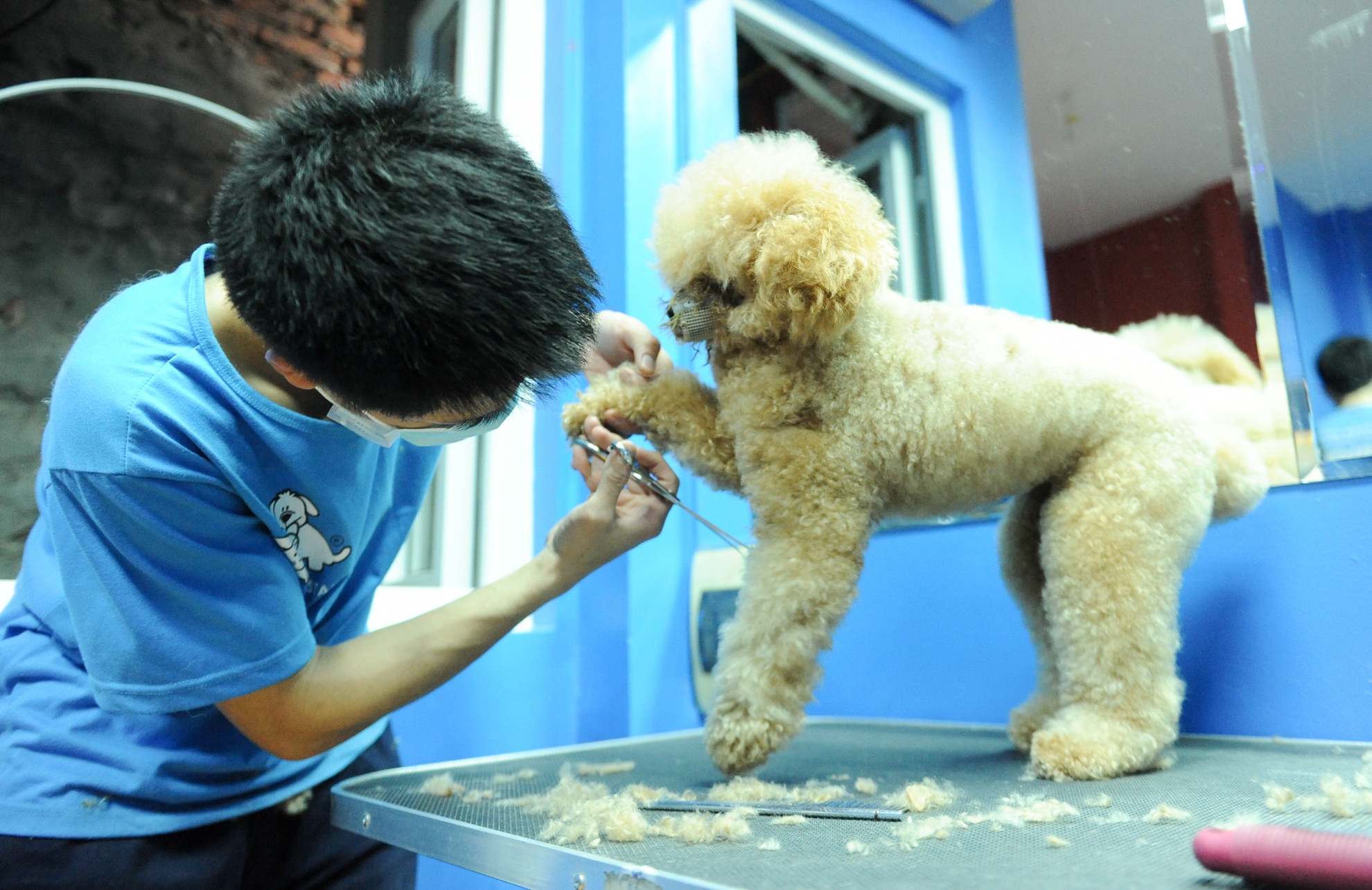 Muon kieu chong nong cua dong vat anh 13