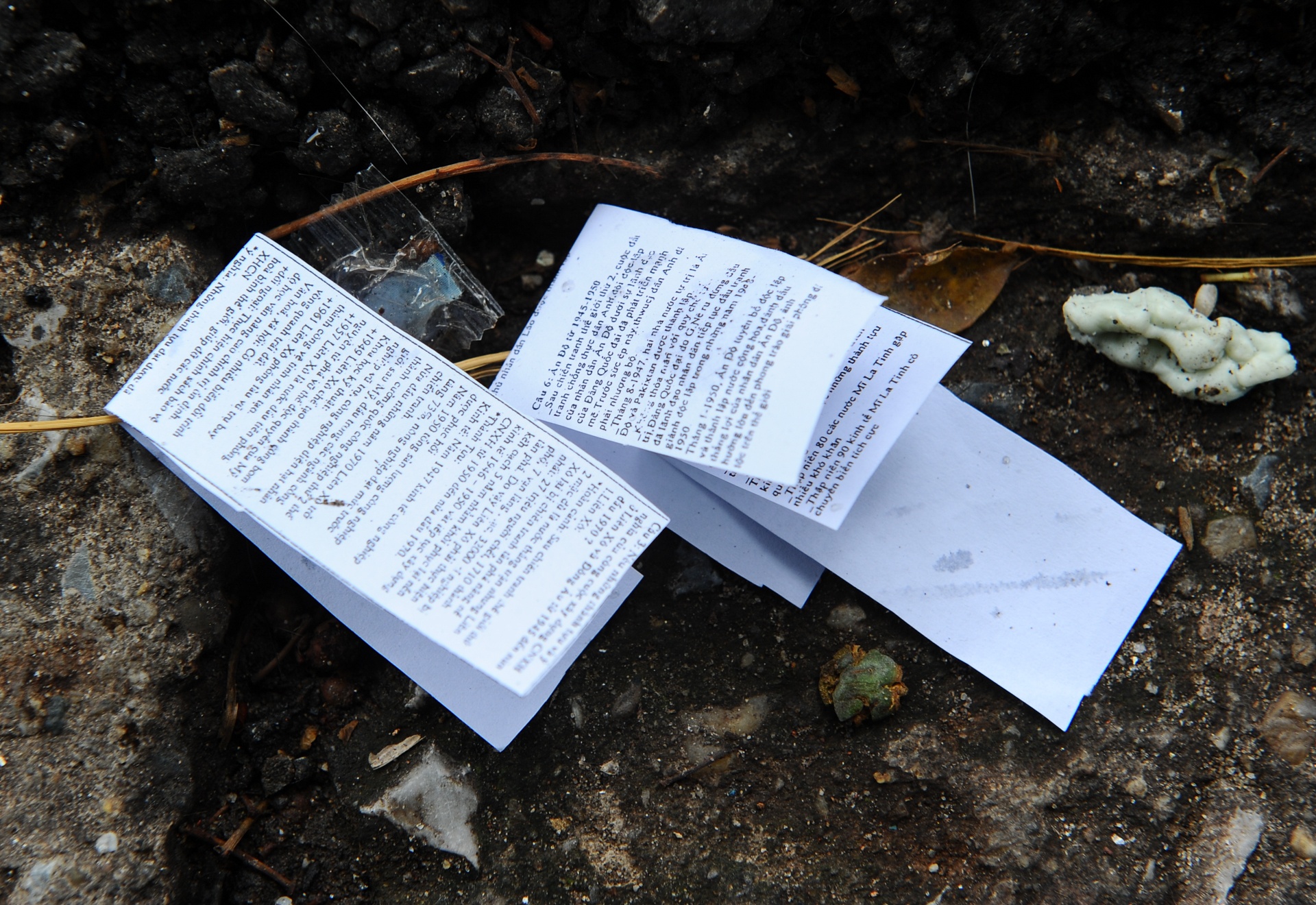 Phao thi truoc cong truong anh 3