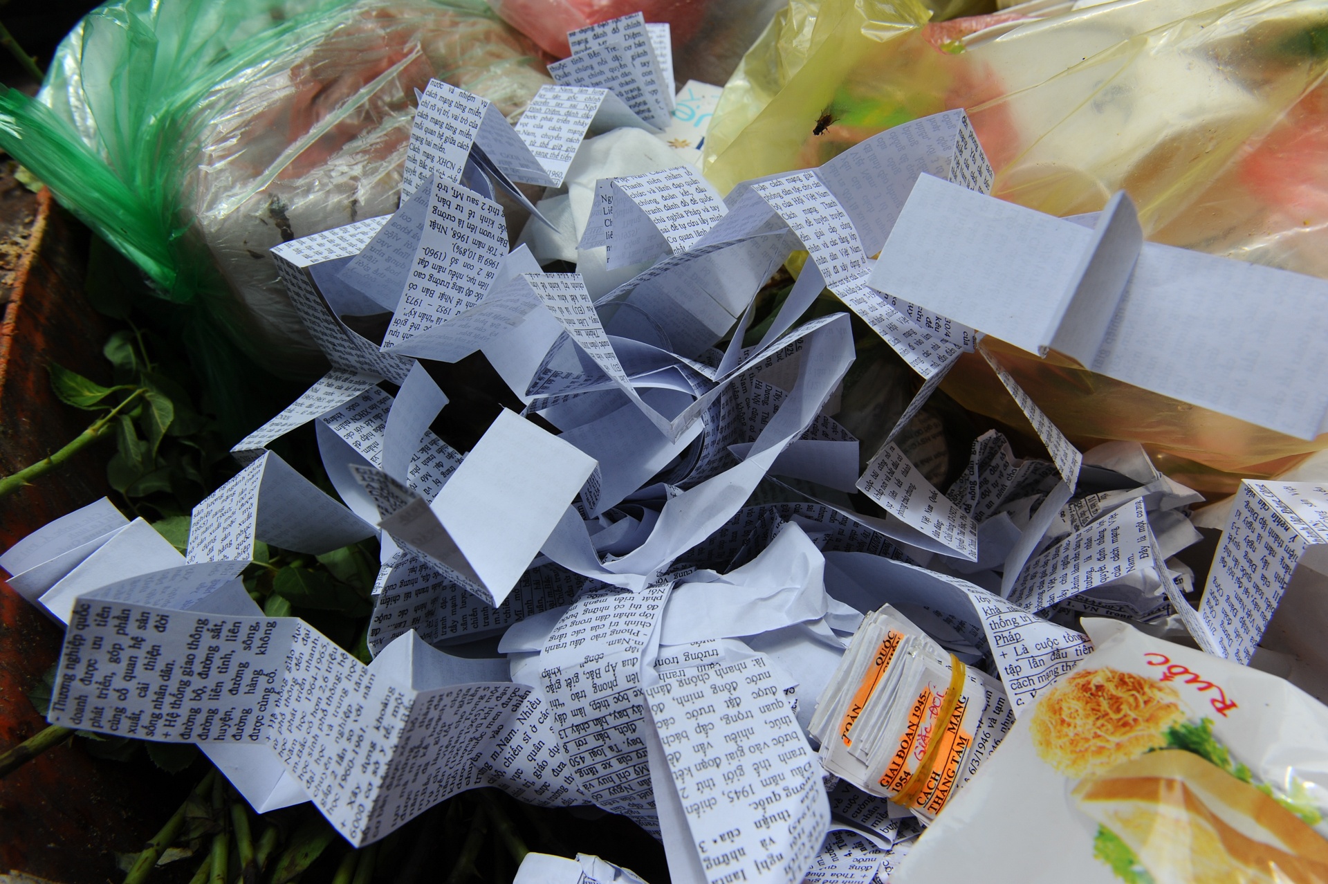 Phao thi truoc cong truong anh 6