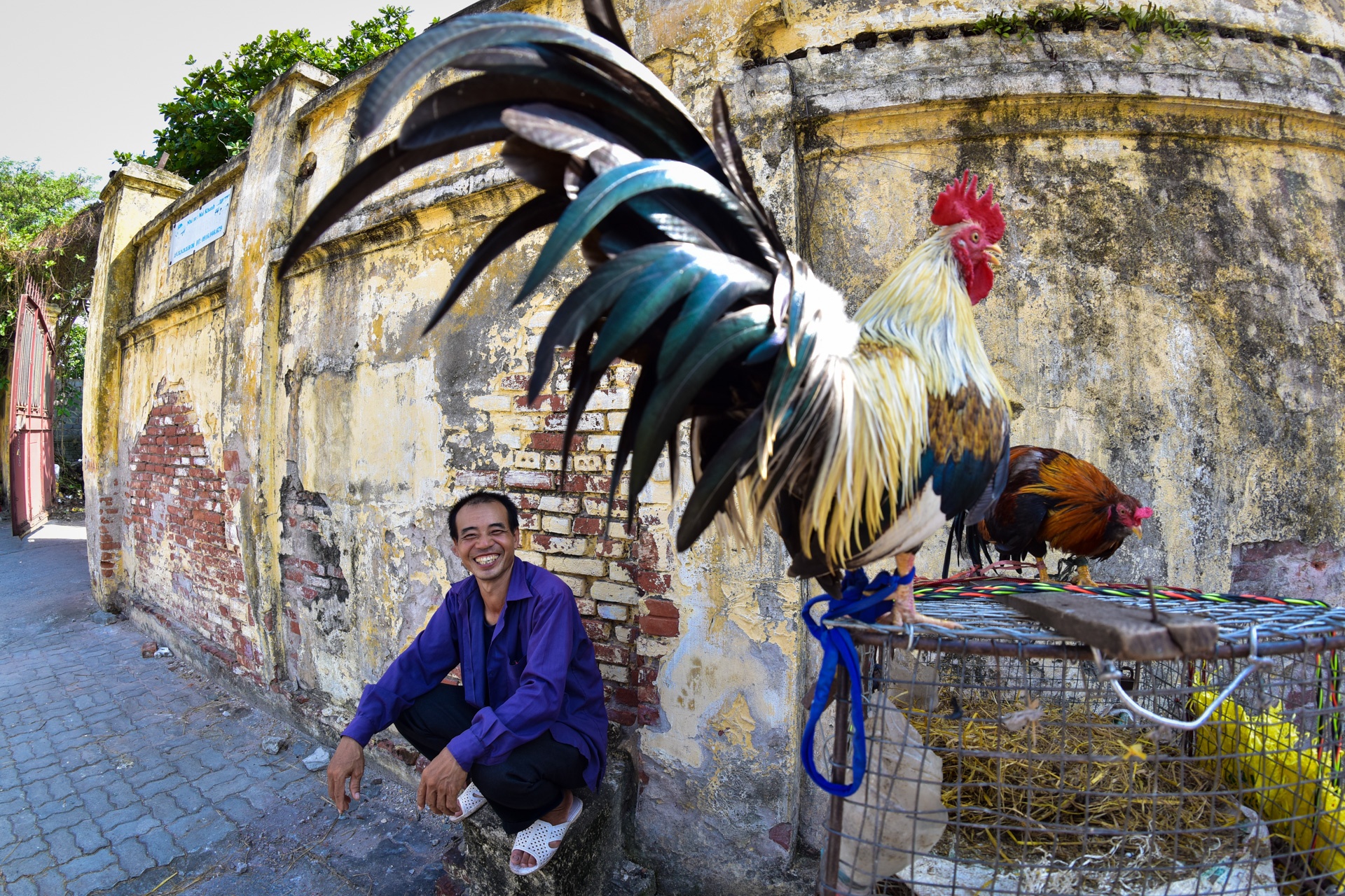 Nha may det Nam Dinh bi pha anh 11