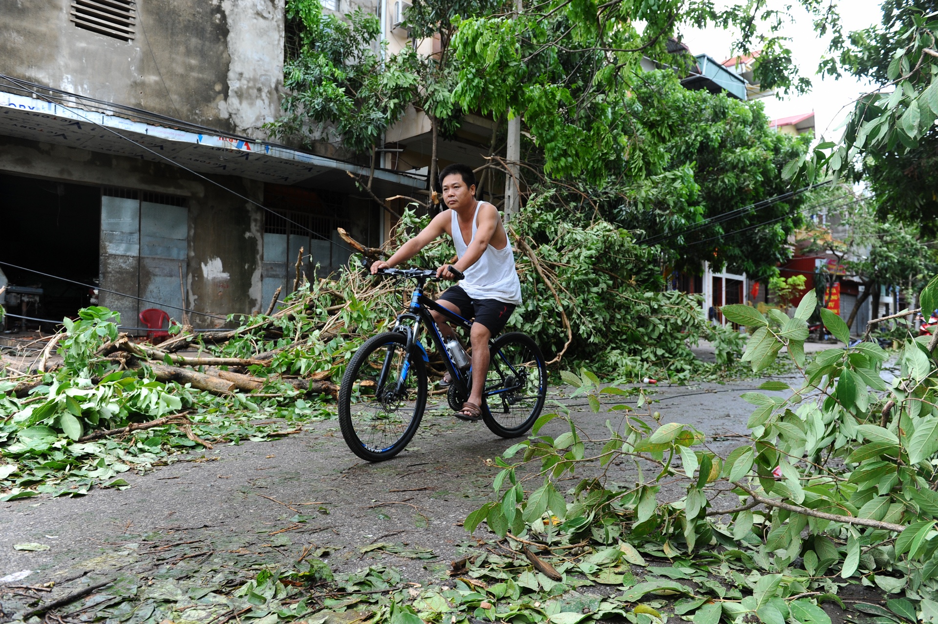 Nam Dinh tan hoang sau bao anh 10