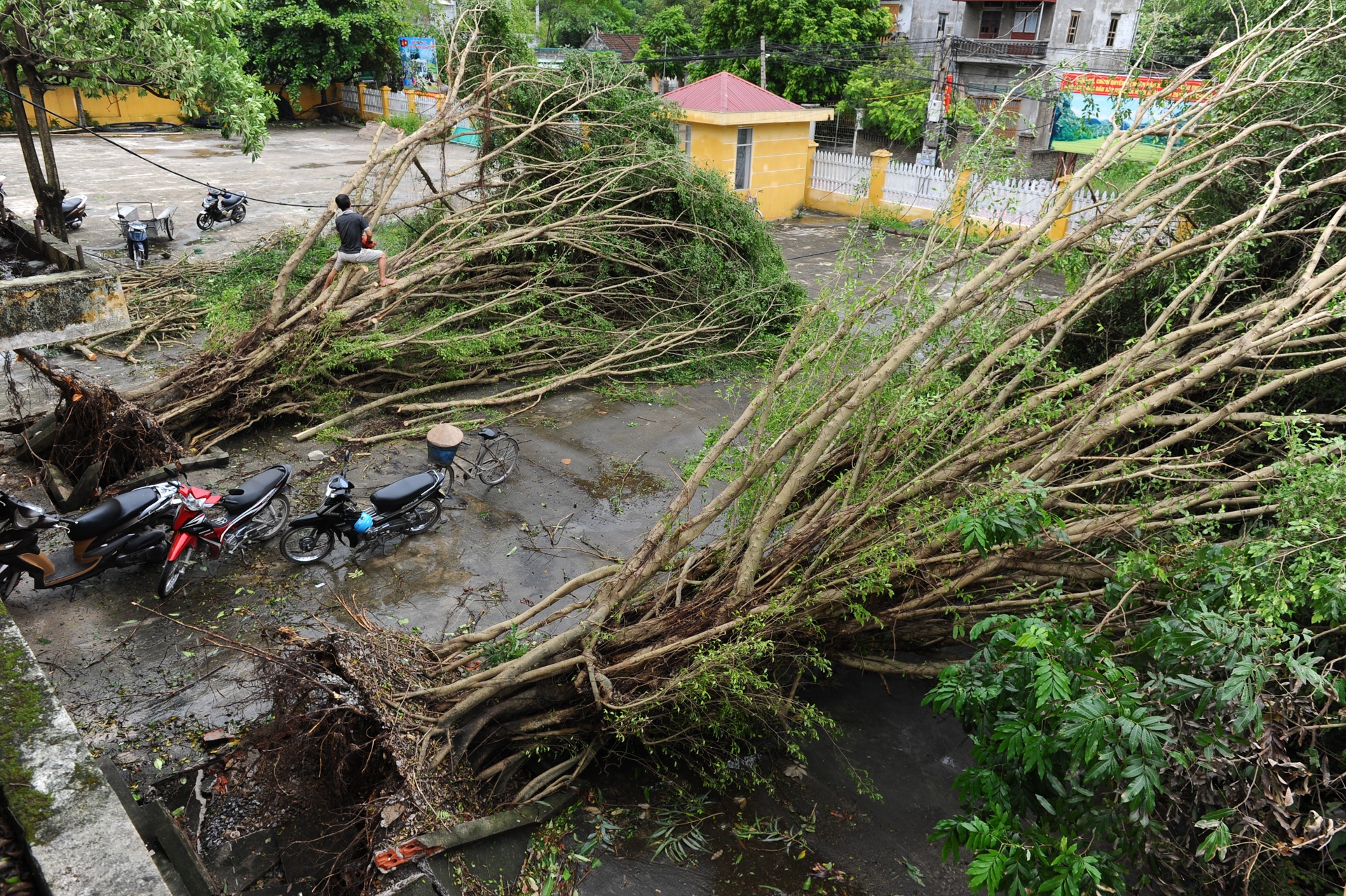 Nam Dinh tan hoang sau bao anh 11