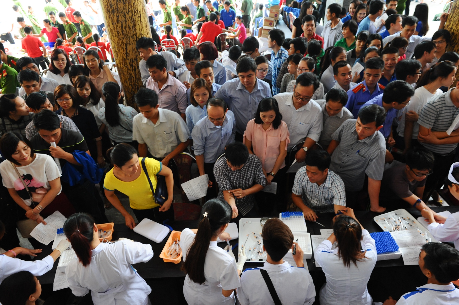 Giot hong xu thanh anh 1