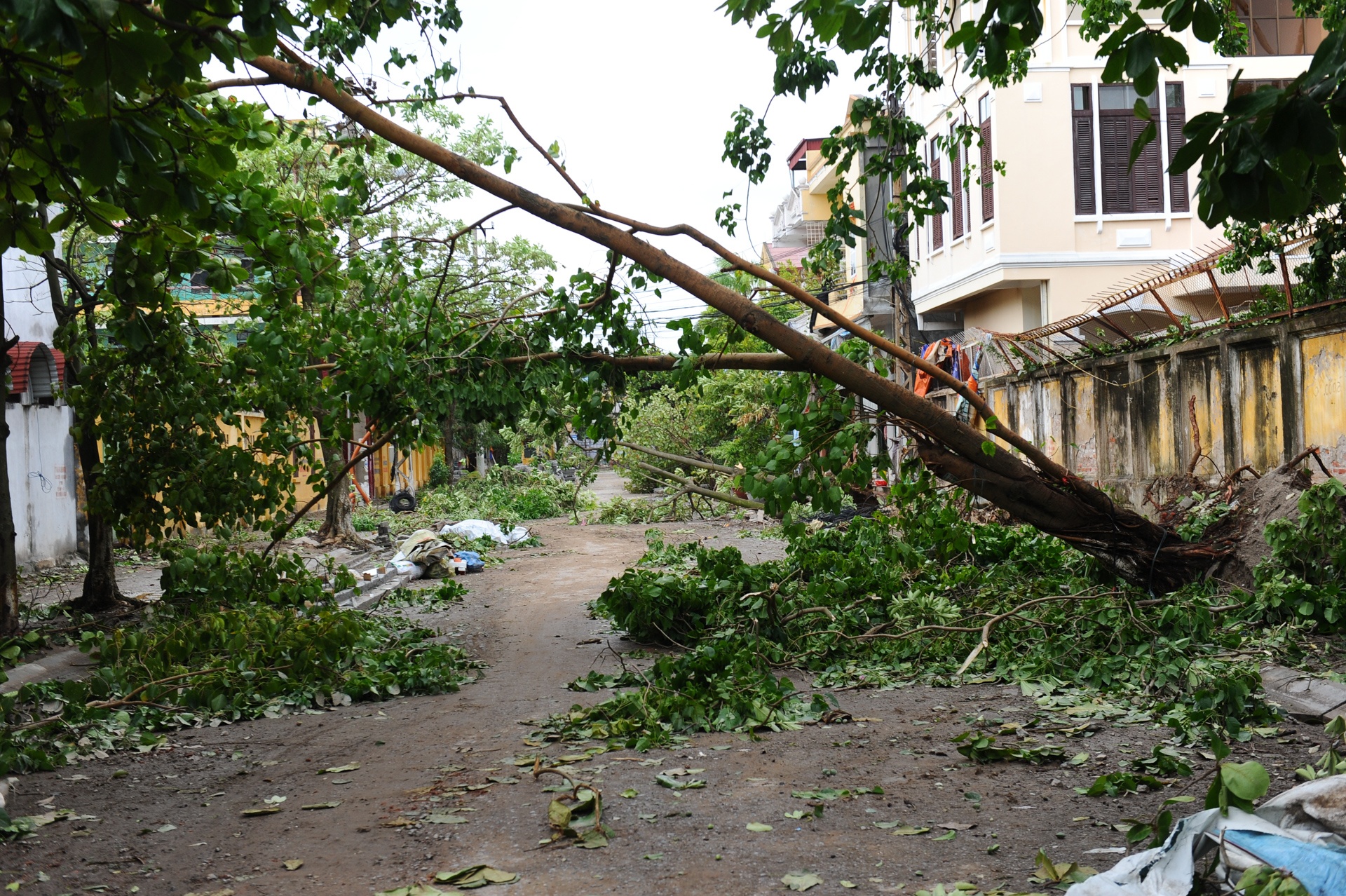 Nam Dinh tan hoang sau bao anh 1