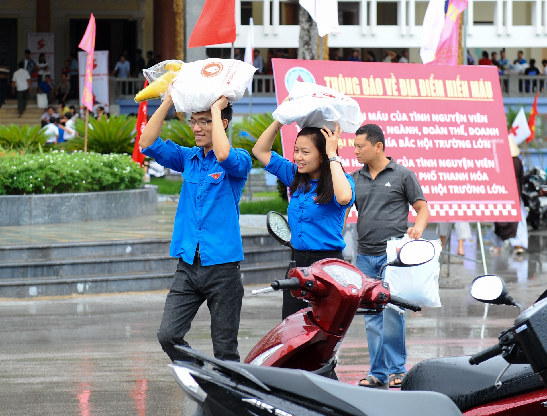 Giot hong xu thanh anh 2