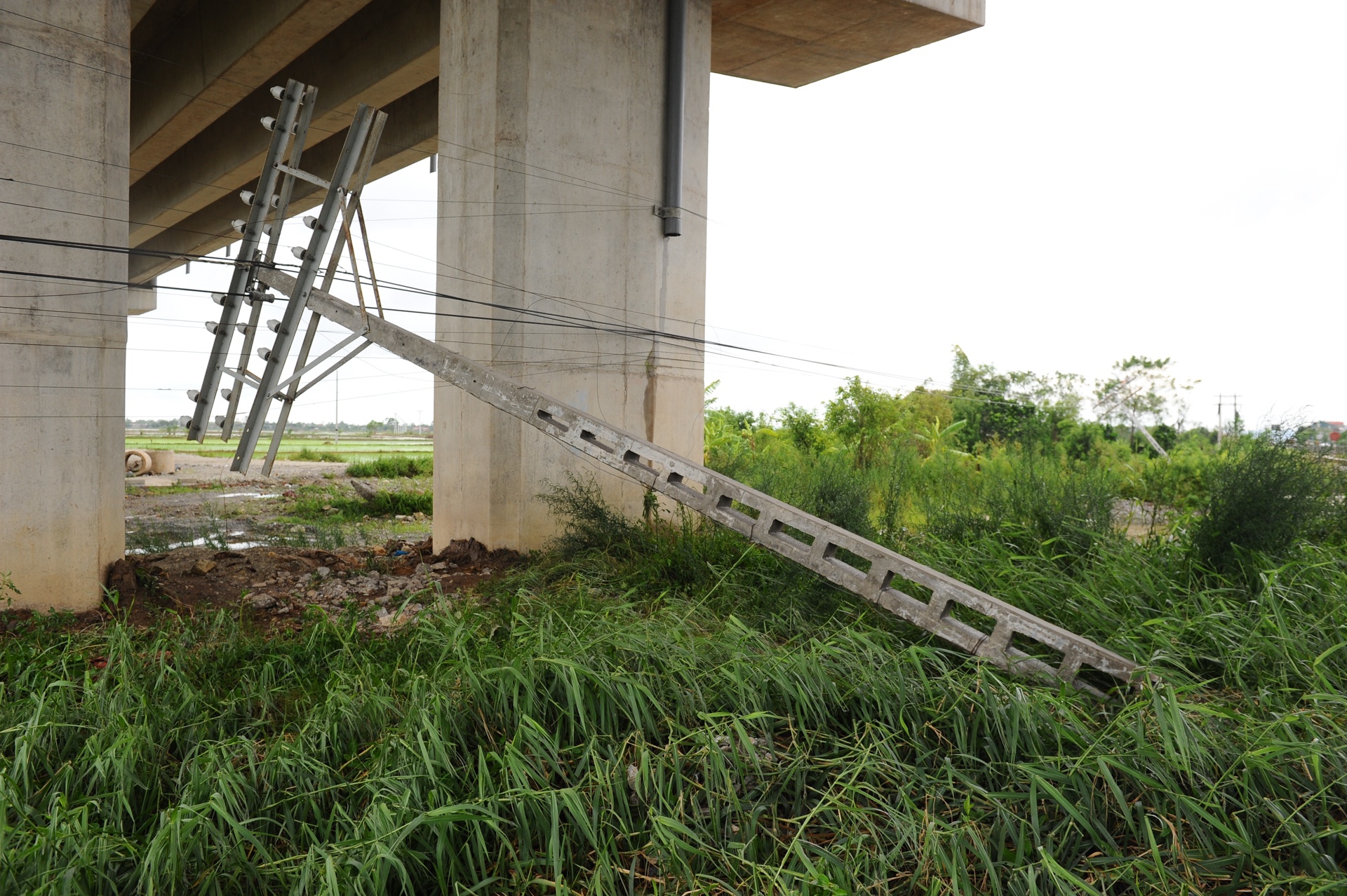 Nam Dinh tan hoang sau bao anh 7