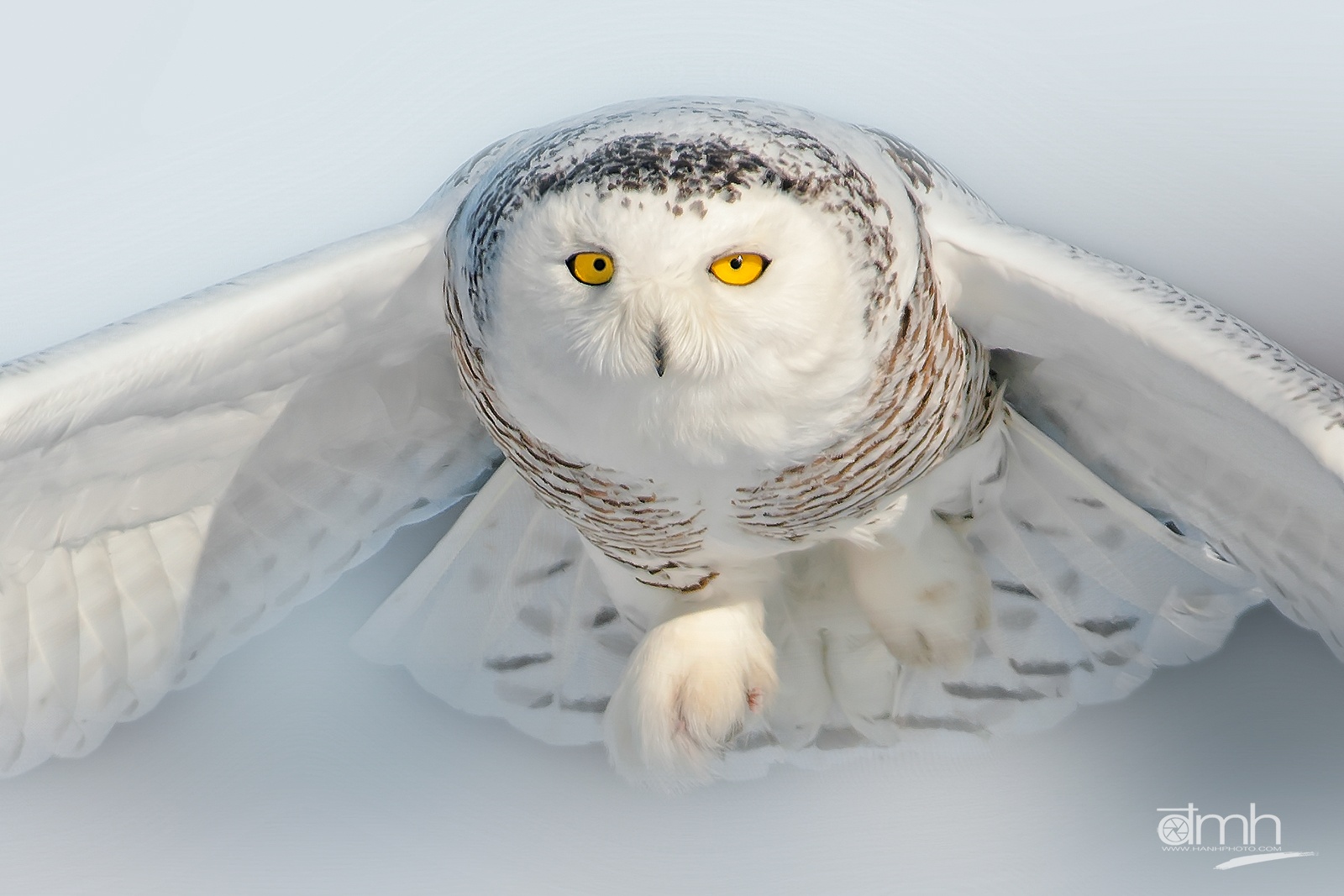 Trien lam Sai canh hoang da anh 4