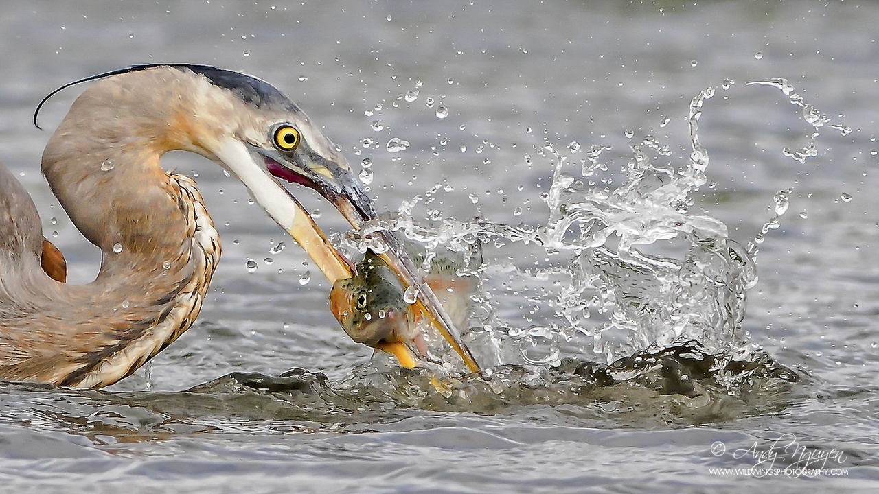 Trien lam Sai canh hoang da anh 7