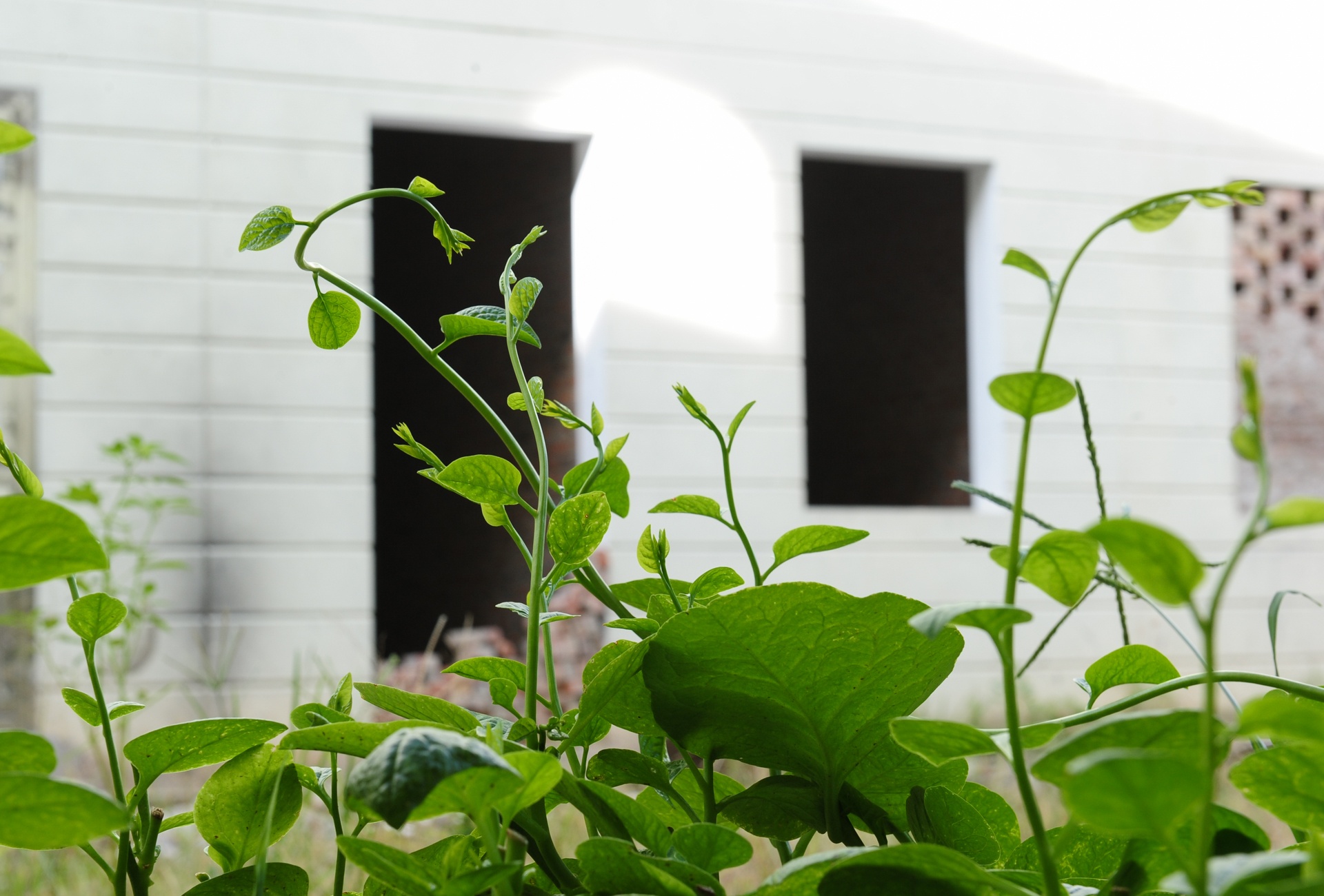 Khu do thi nghin ty bo hoang anh 14